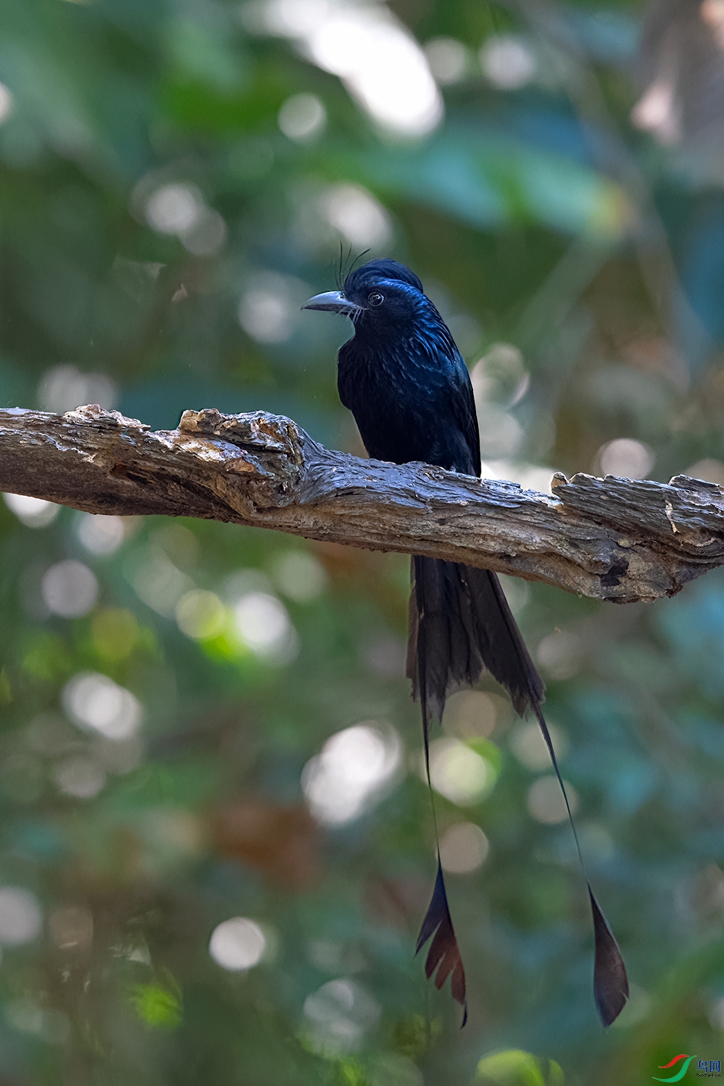 DSC_3873_DxOa.jpg