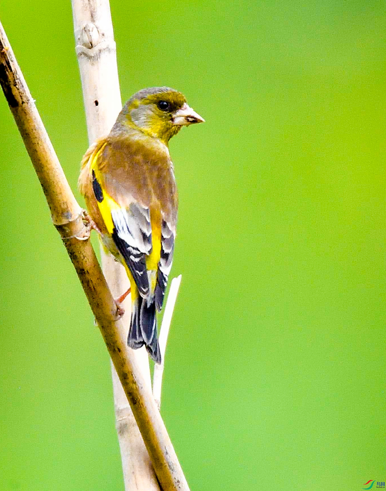 DSC_99815.jpg