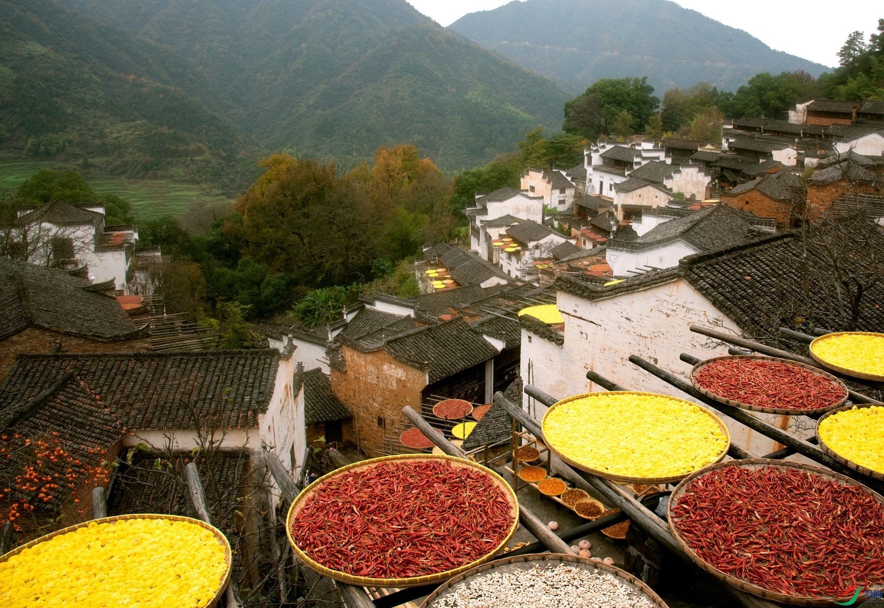 DSC_0618 ����_����.jpg