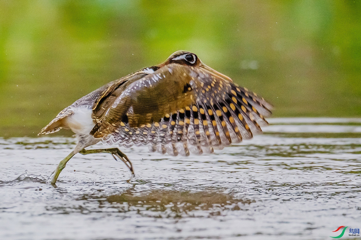 DSC_7841.jpg