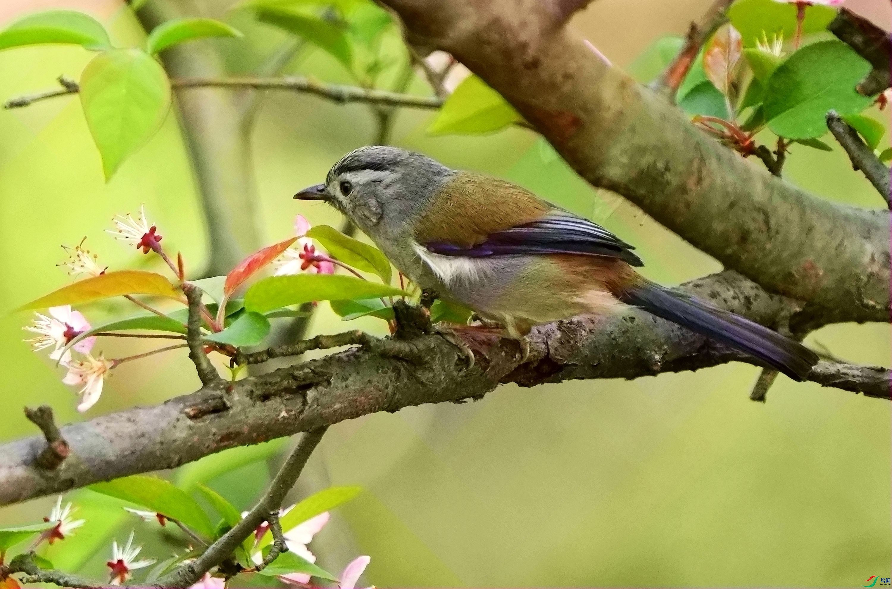 ��ϸ�鿴������ϣ�̣�DSC03479_����.jpg
