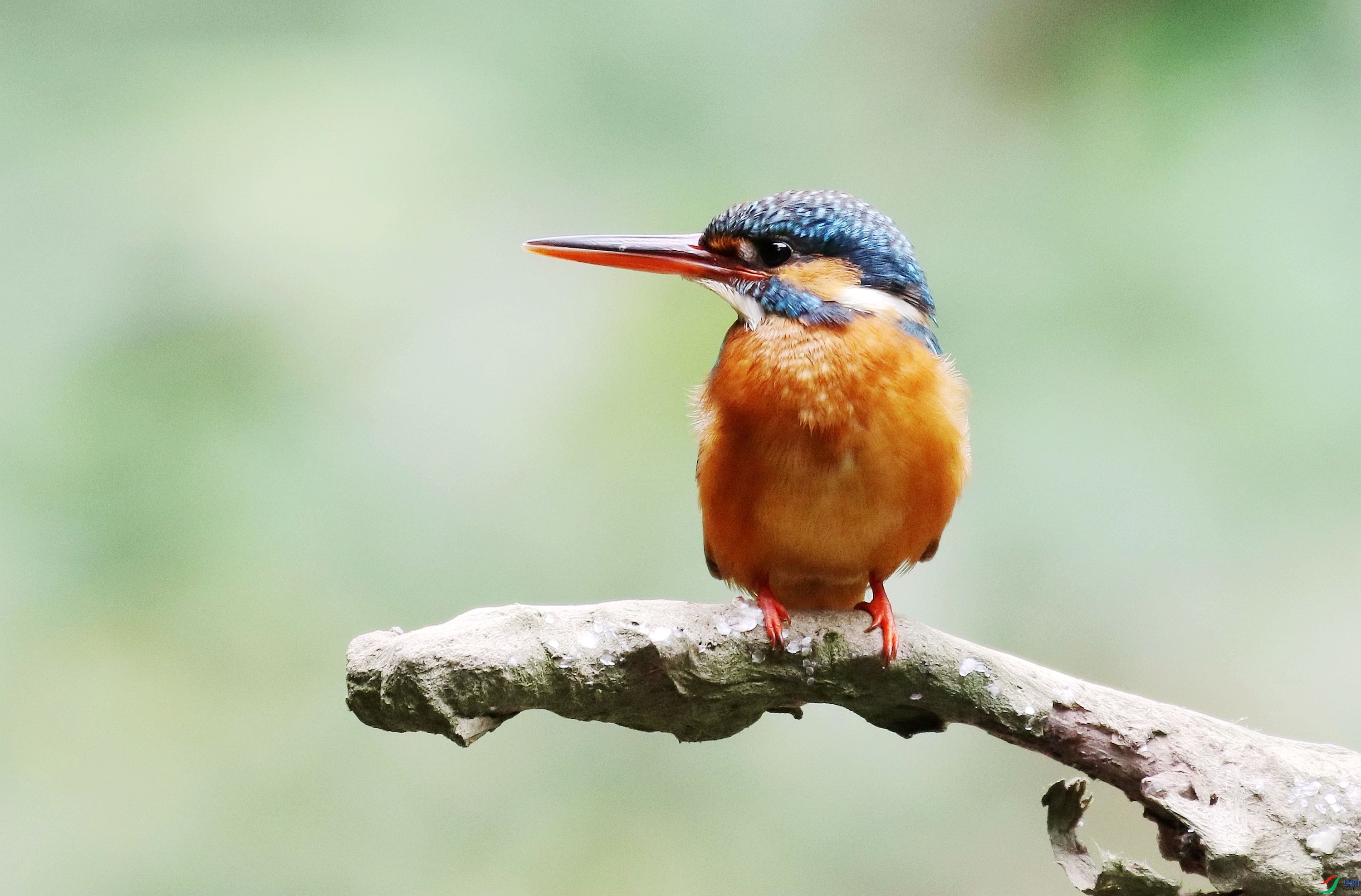 ���۵Ĵ���1U4A5907_����.jpg