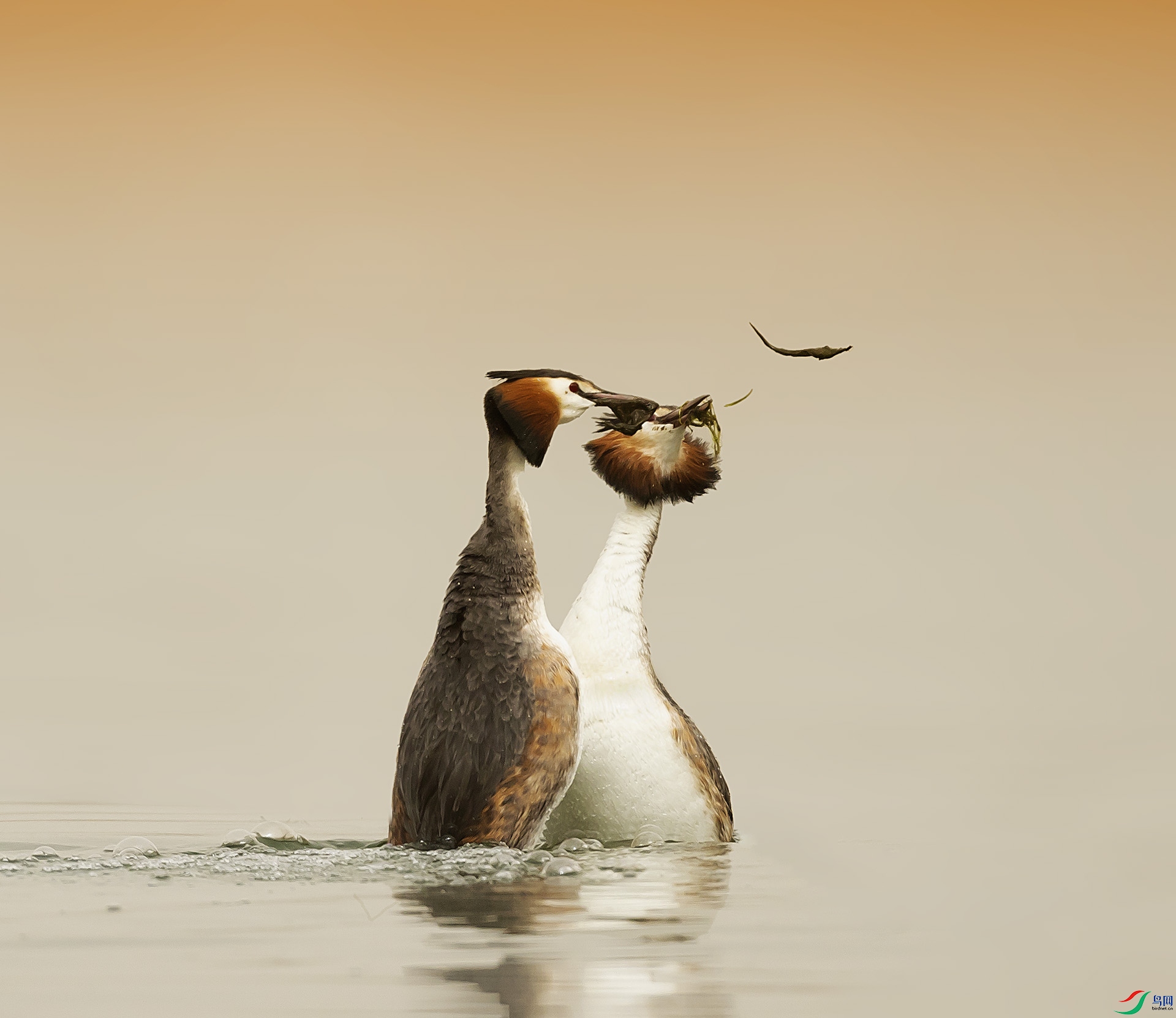 019A4652 ����.jpg