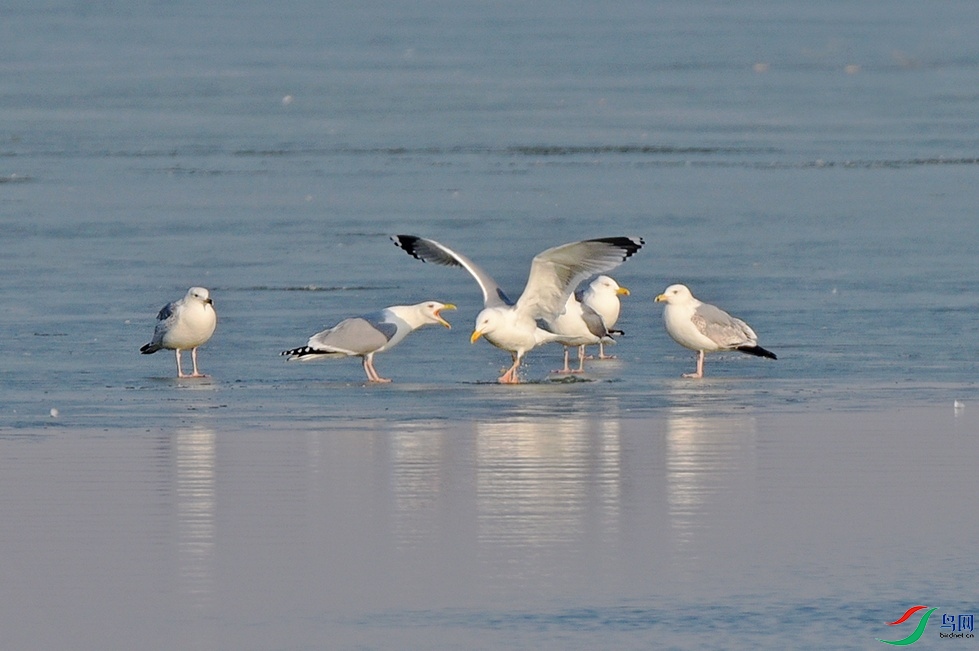 DSC_7326.jpg
