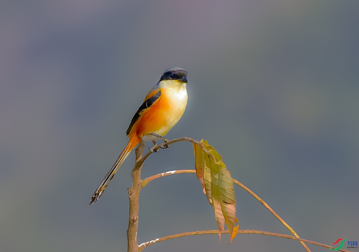 DSC_8653.JPG