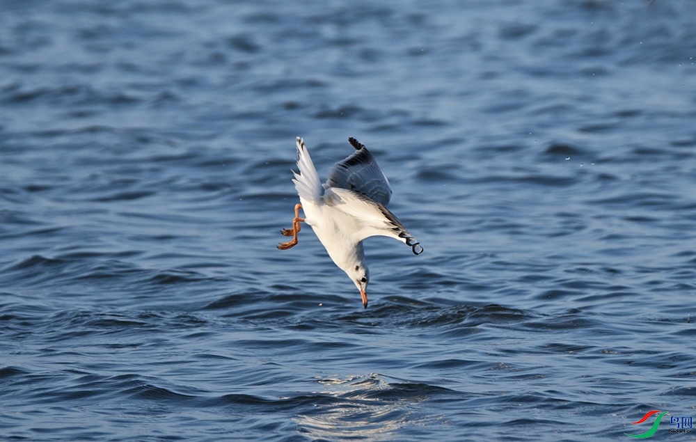 DSC_5882.jpg
