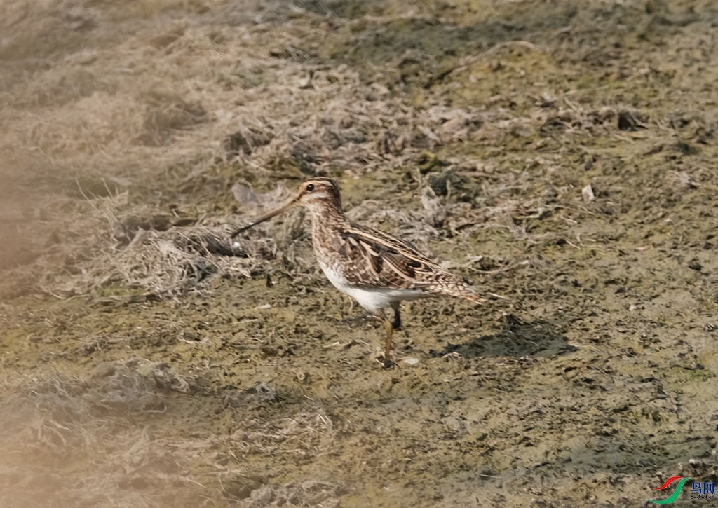 DSCF2745s.jpg