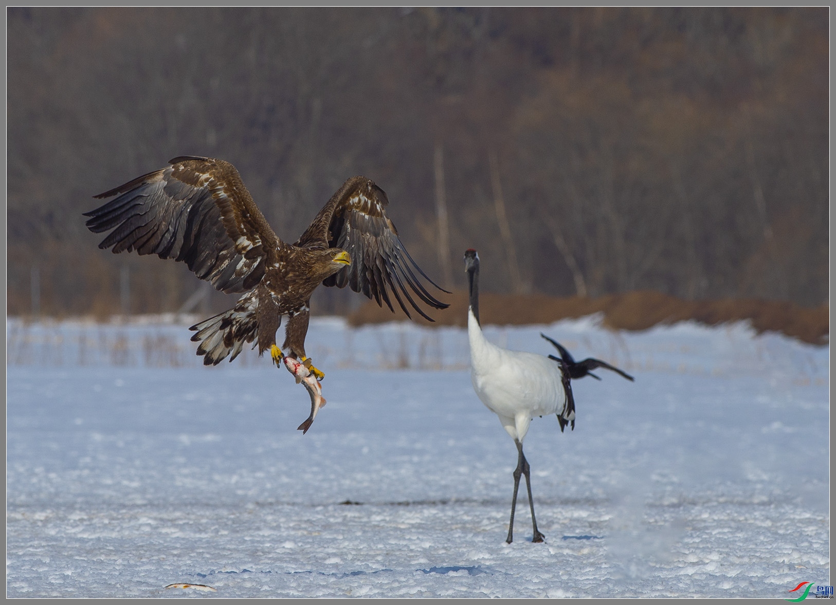 ��DSC_2277 (2).jpg