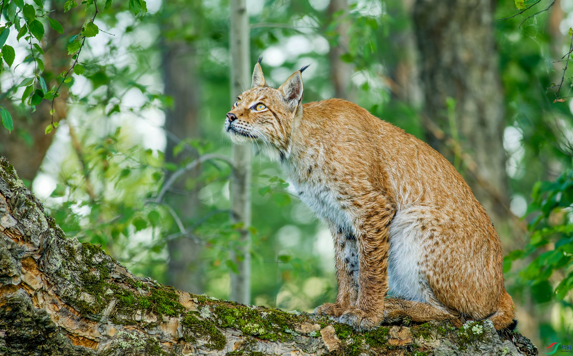 A27R4572-CR2_DxO_DeepPRIME.jpg