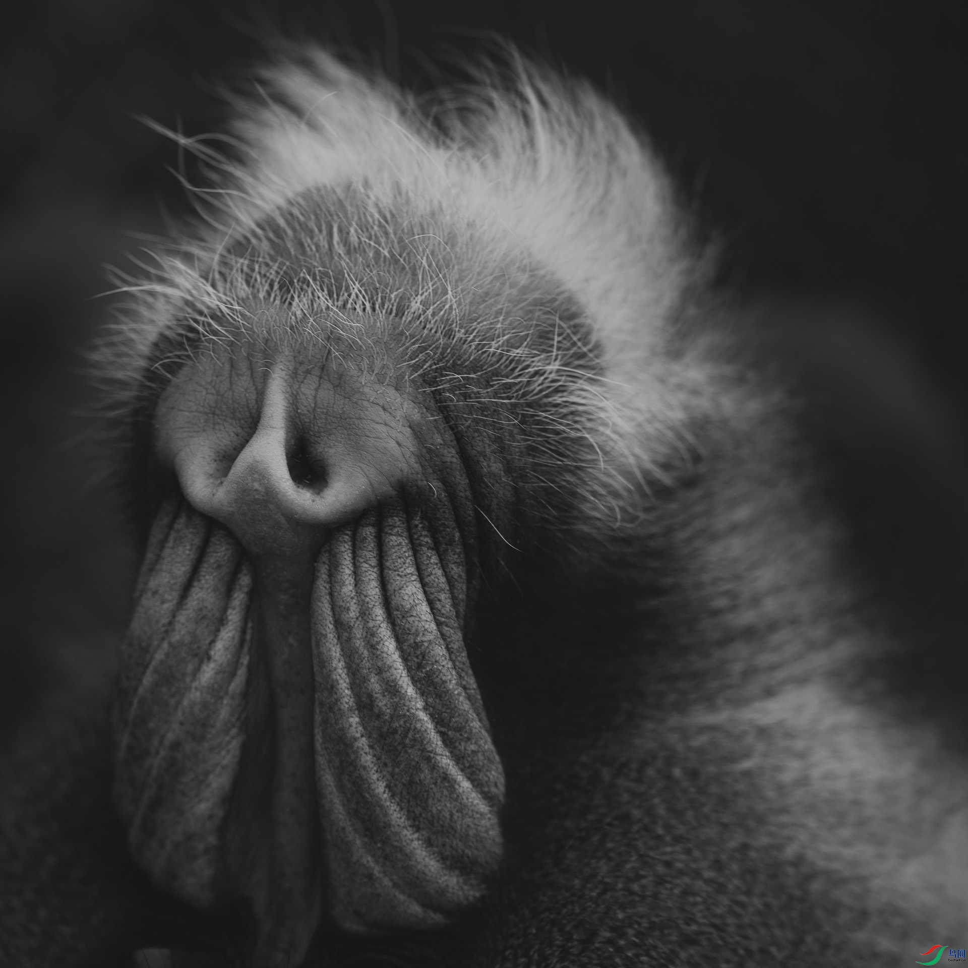 ����һ������ɽ��