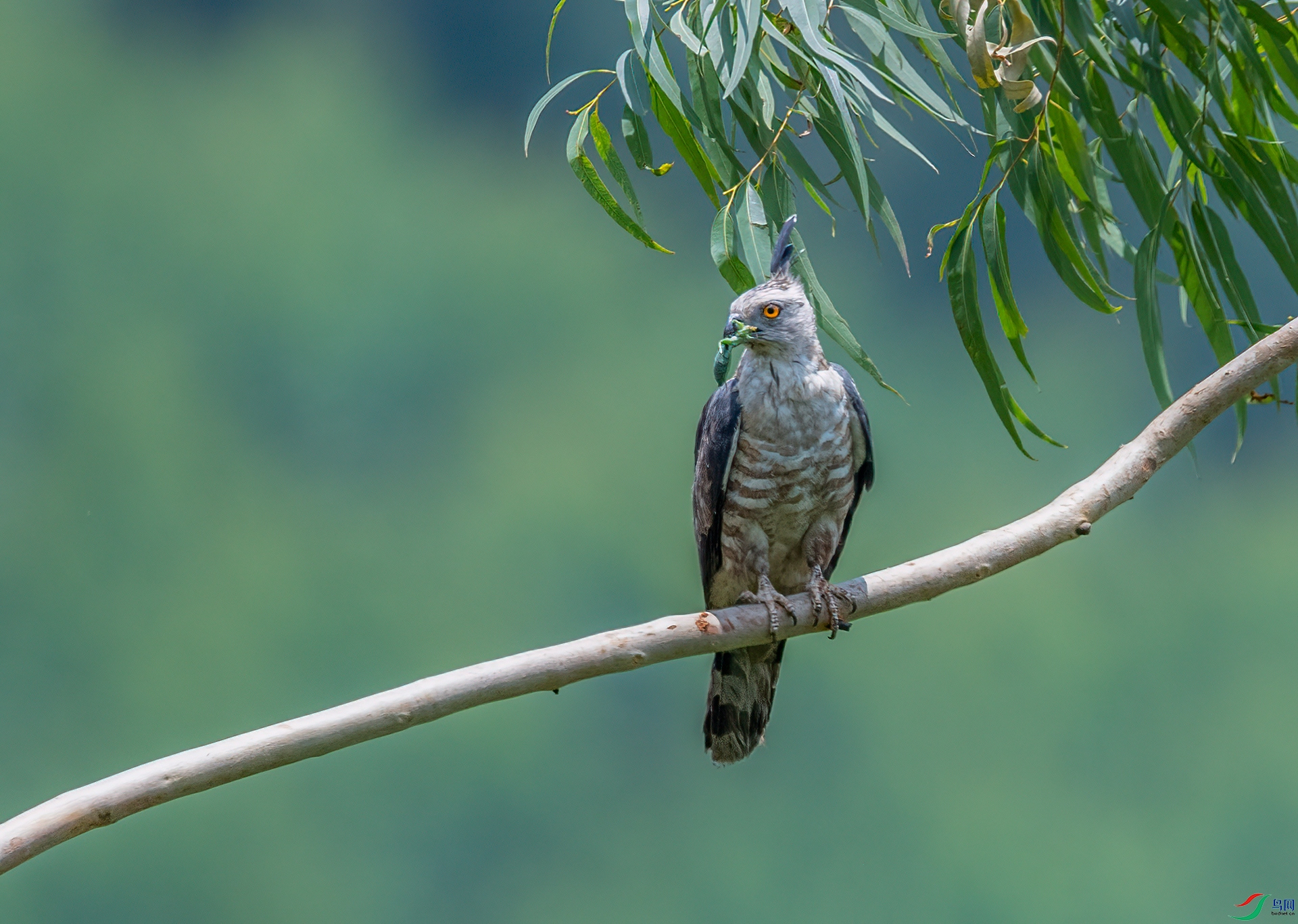 DSC_2712.jpg