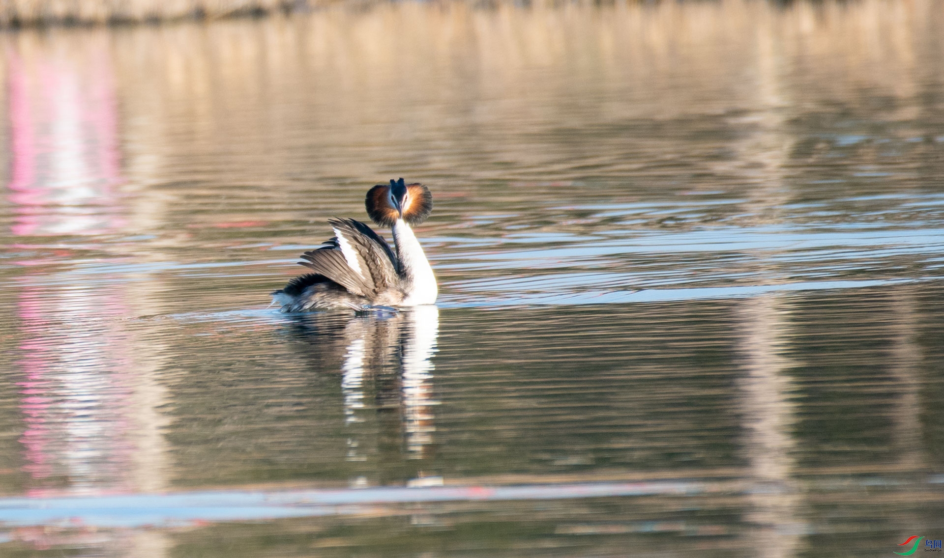DSC_0221.jpg