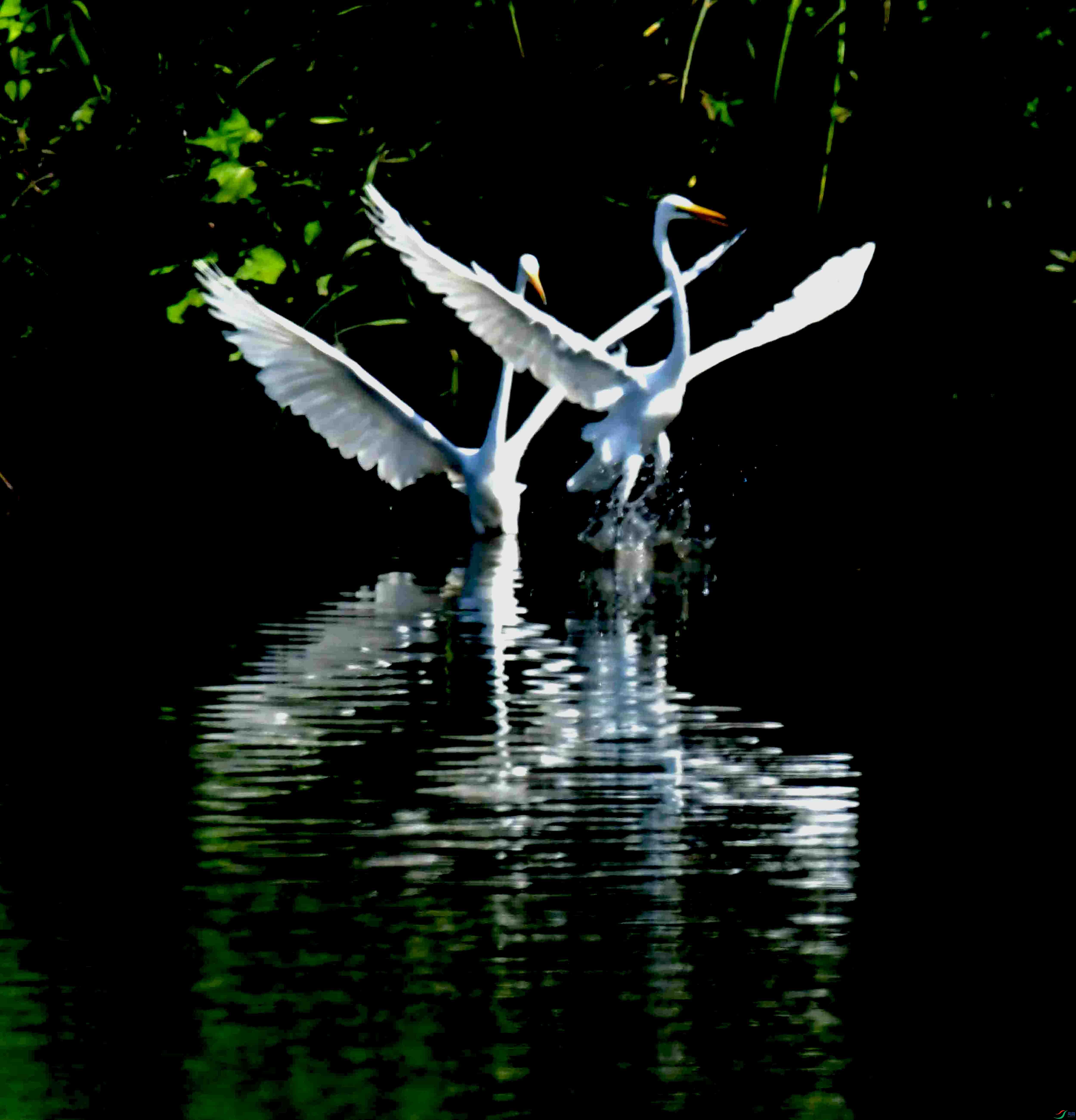 DSC_1489.JPG