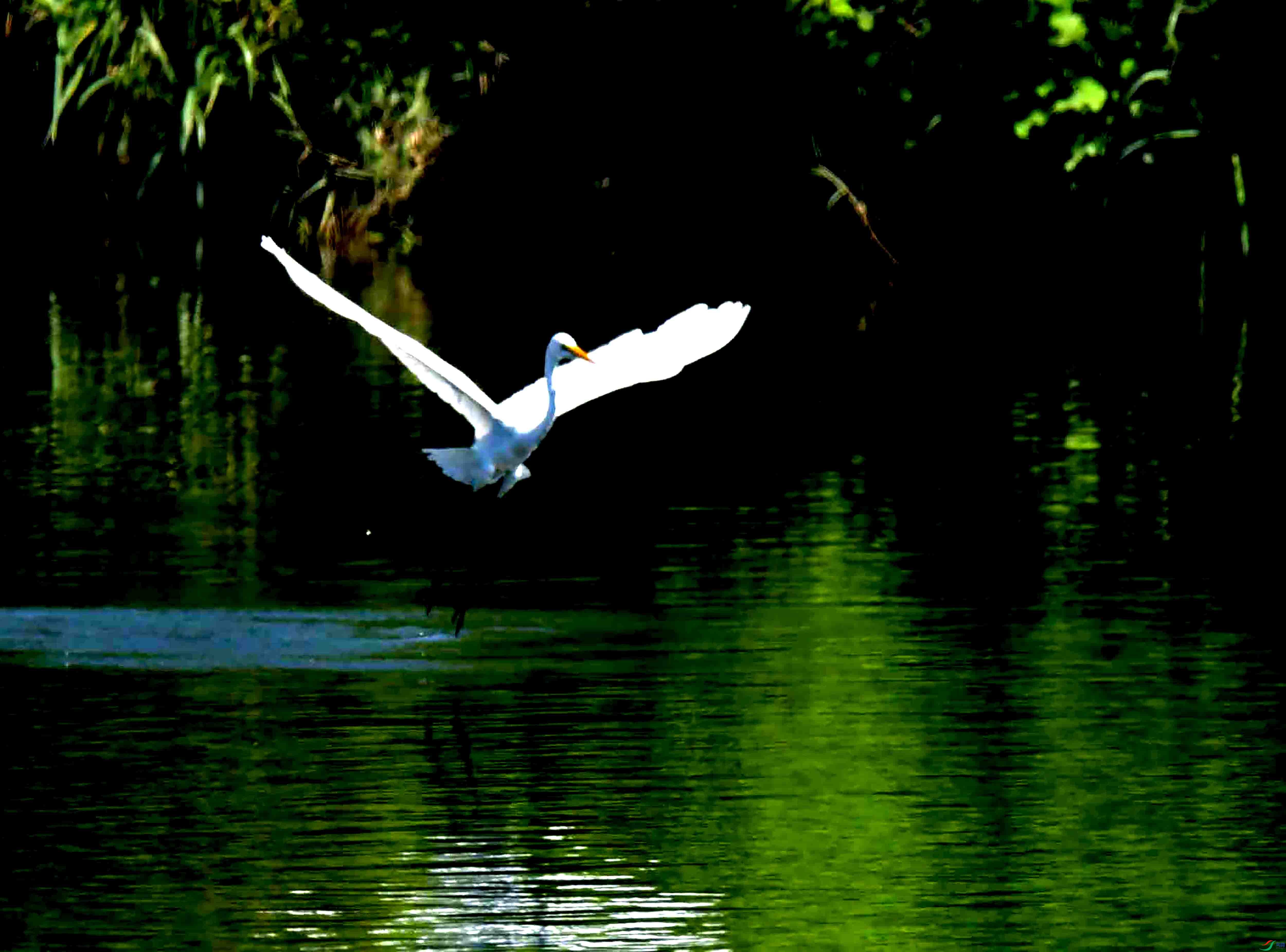 DSC_1499.JPG