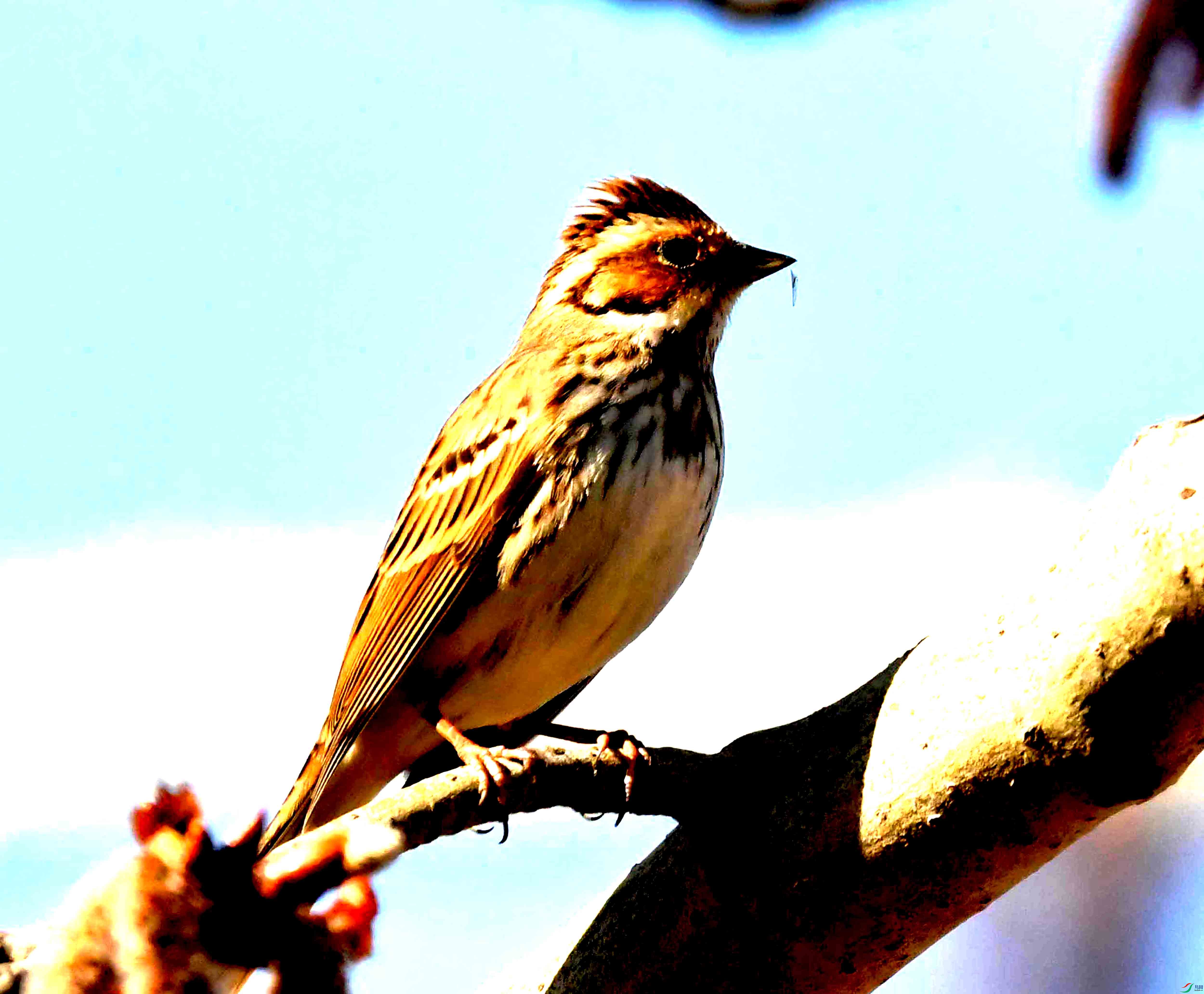 Copy2_DSC_5924.JPG