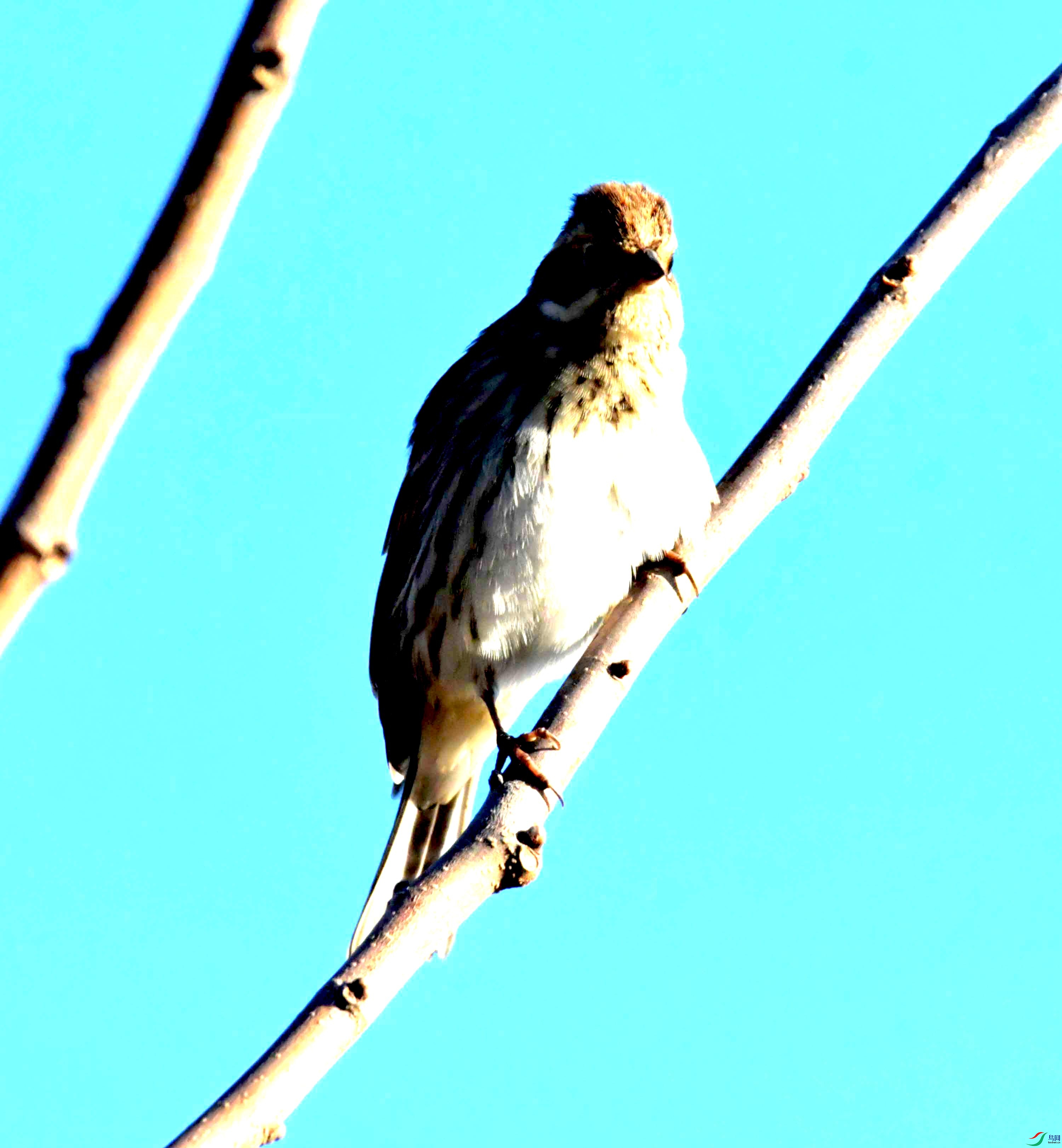 DSC_2697.JPG