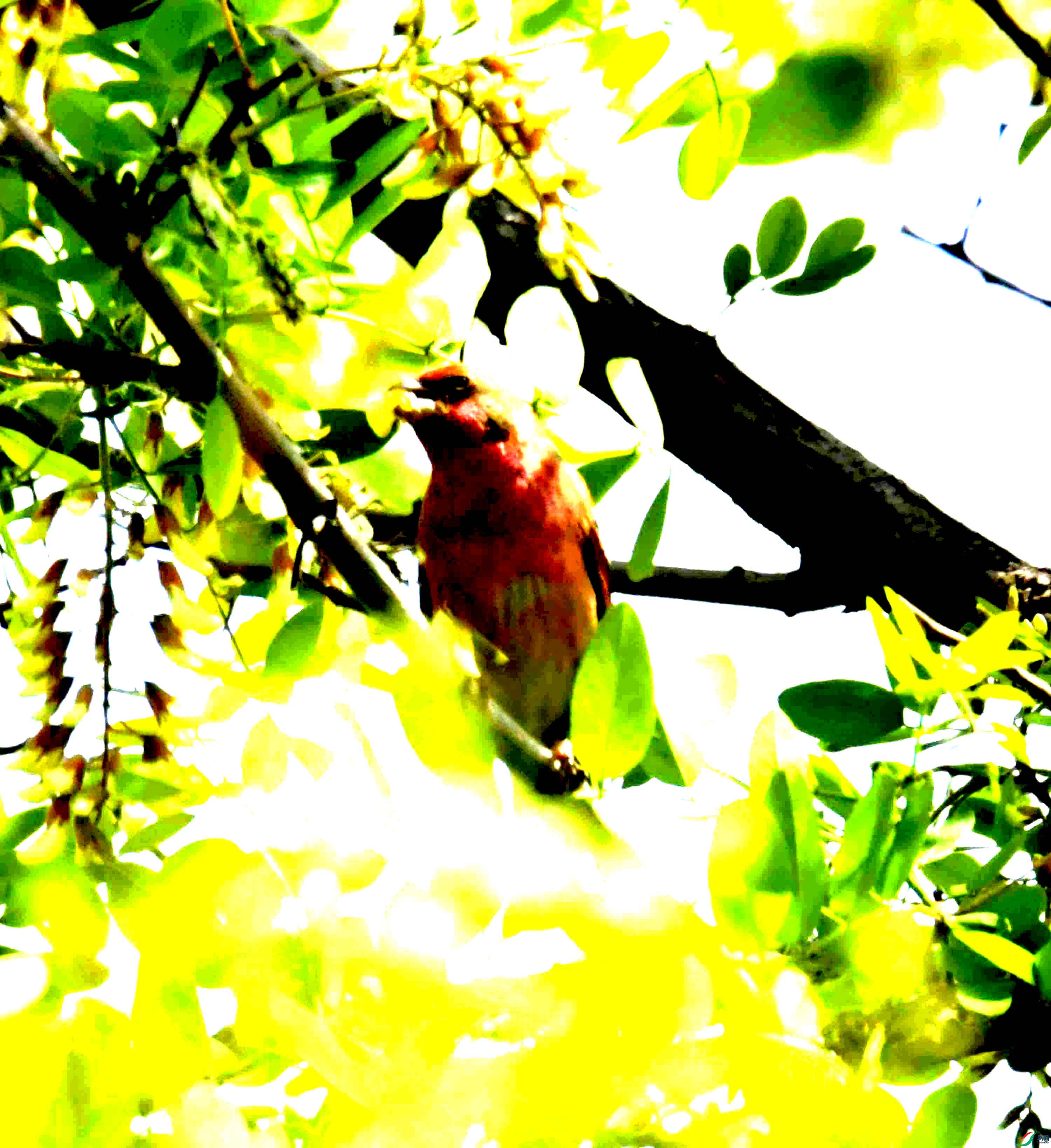 DSC_8357.JPG