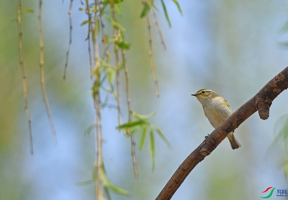 DSC_7572.JPG