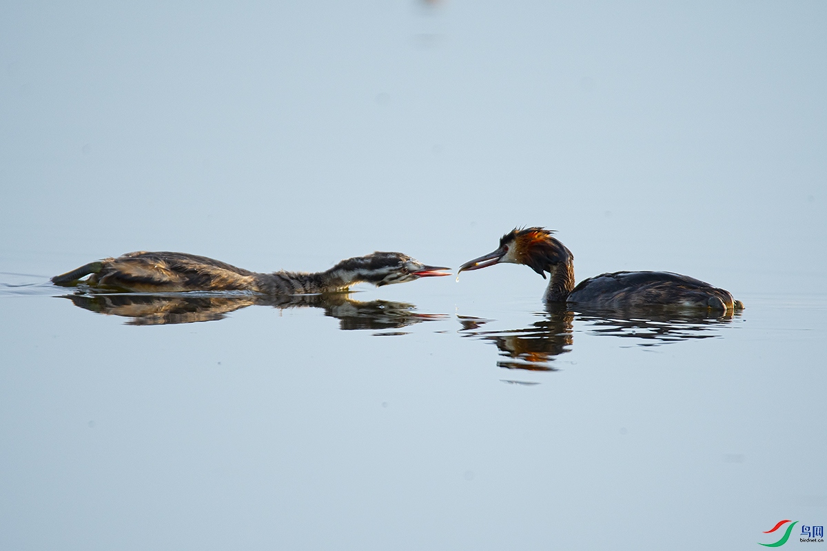 DSC_0883.jpg
