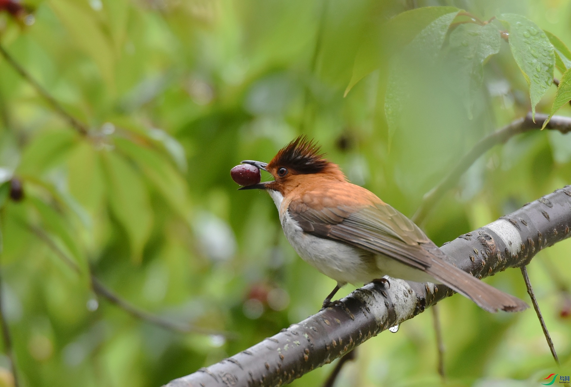 D72_9576.jpg