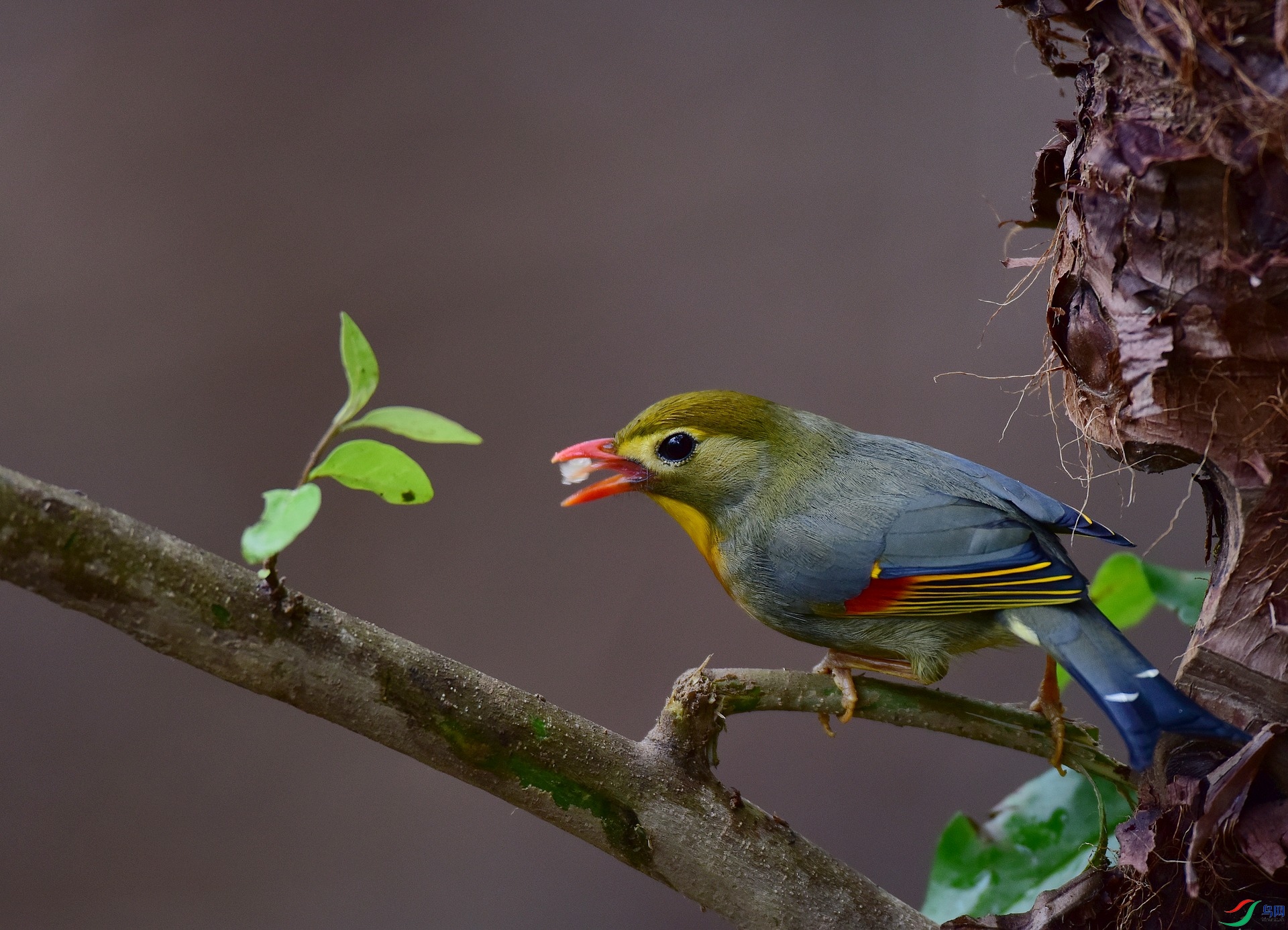D8I_0802.jpg