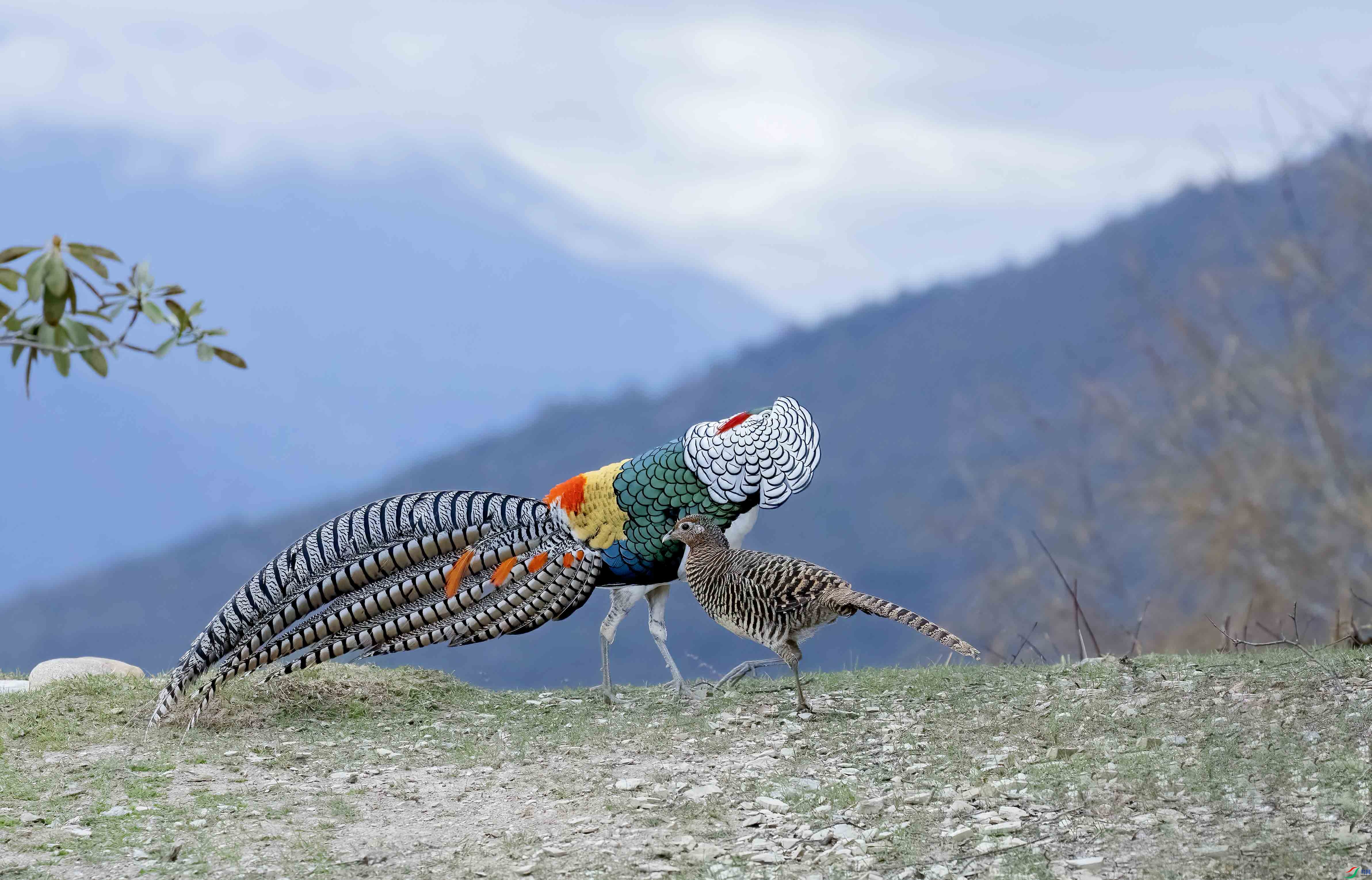 314A6298 ����.jpg