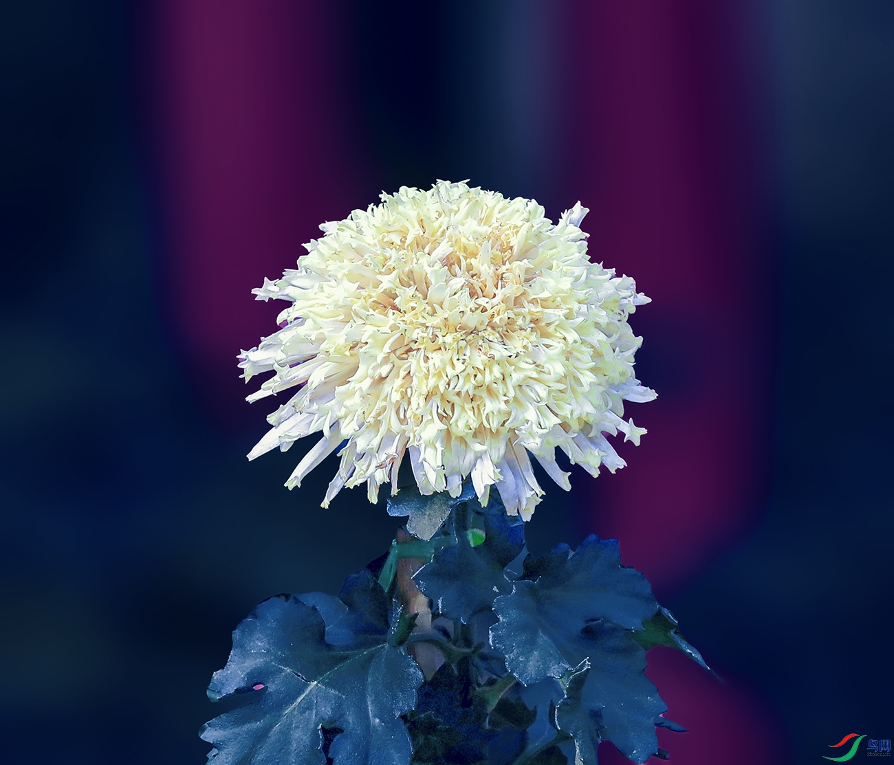 00000583A0267 �̿�����1000k.jpg