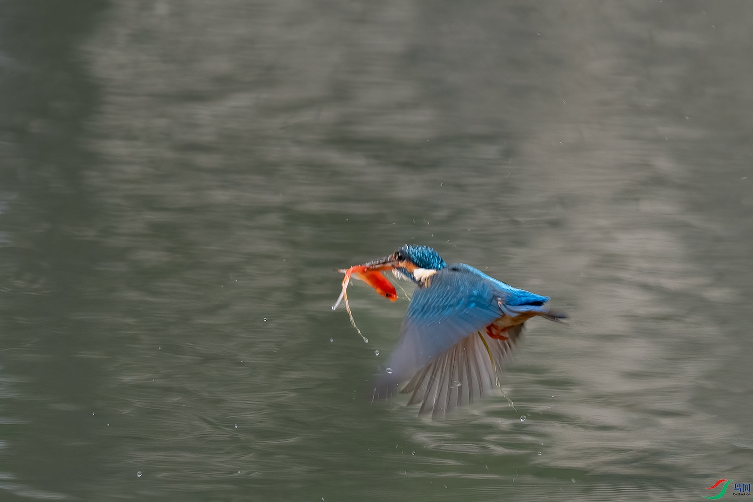 DSC_9418-2.jpg