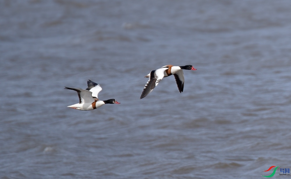 DSC_5344ff.jpg