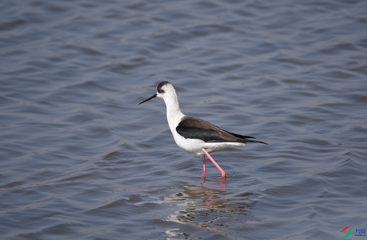 DSC_4055.jpg
