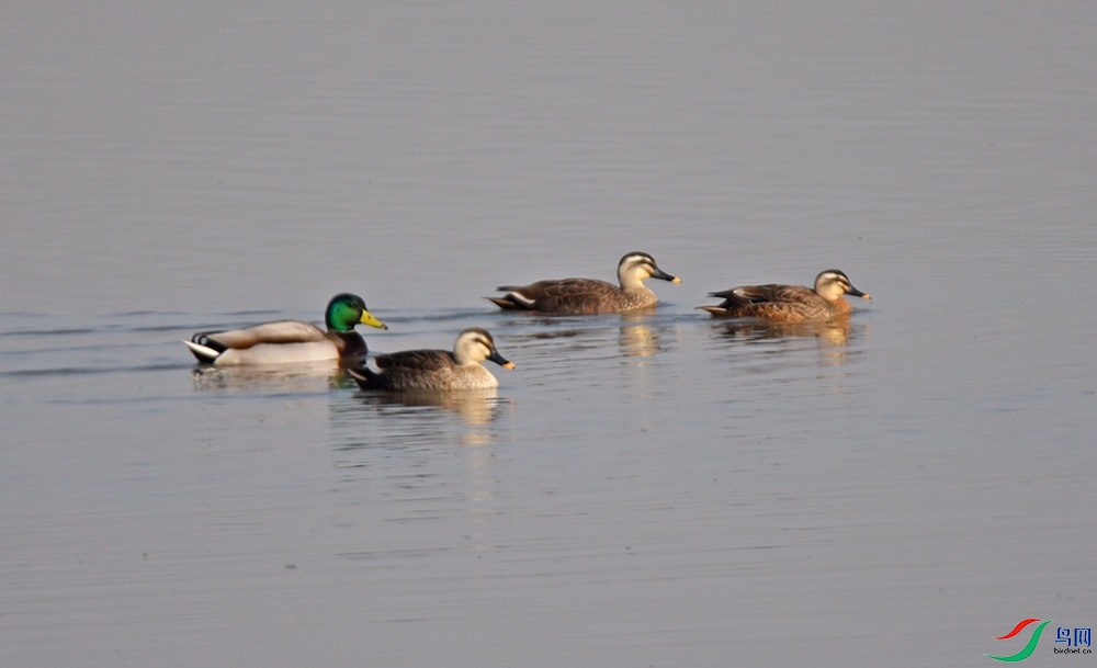 DSC_5889.jpg
