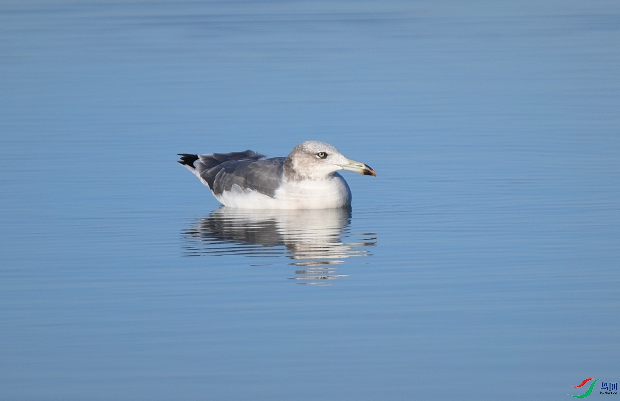 DSC_7238.jpg