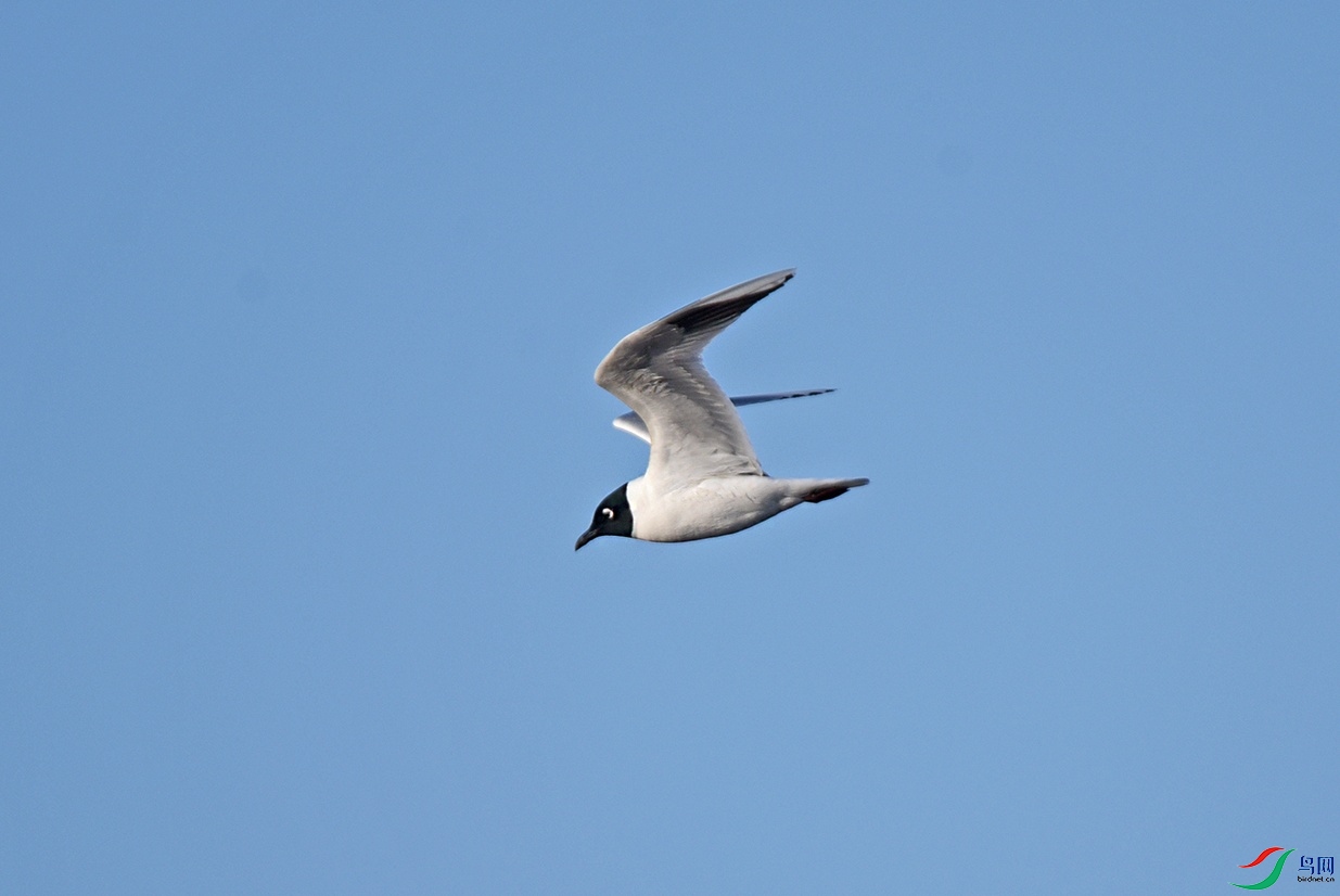 DSC_9296.jpg