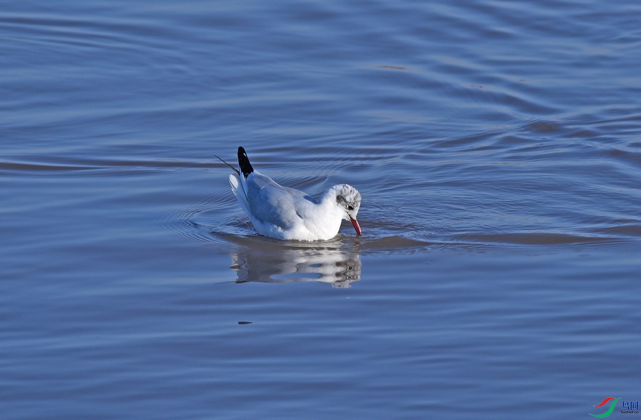 DSC_9410.jpg
