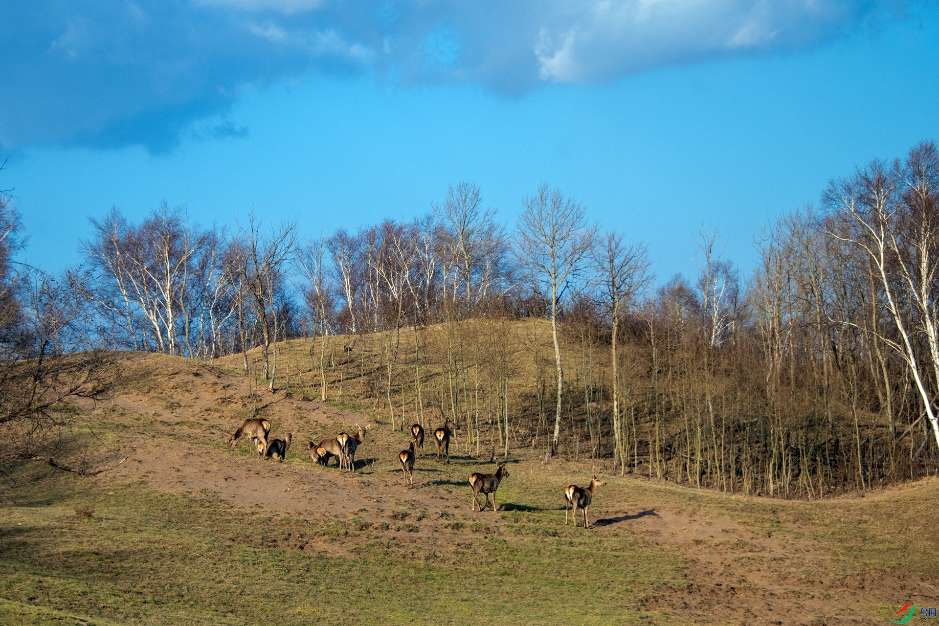 _DSC1721_����.jpg