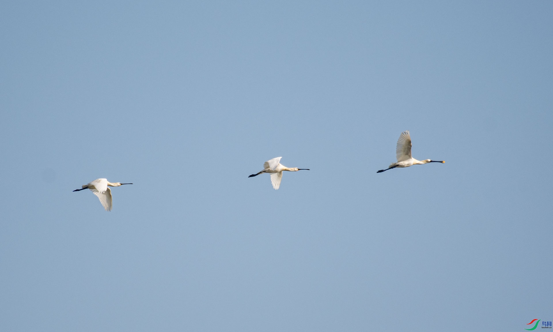 DSC_0524.jpg