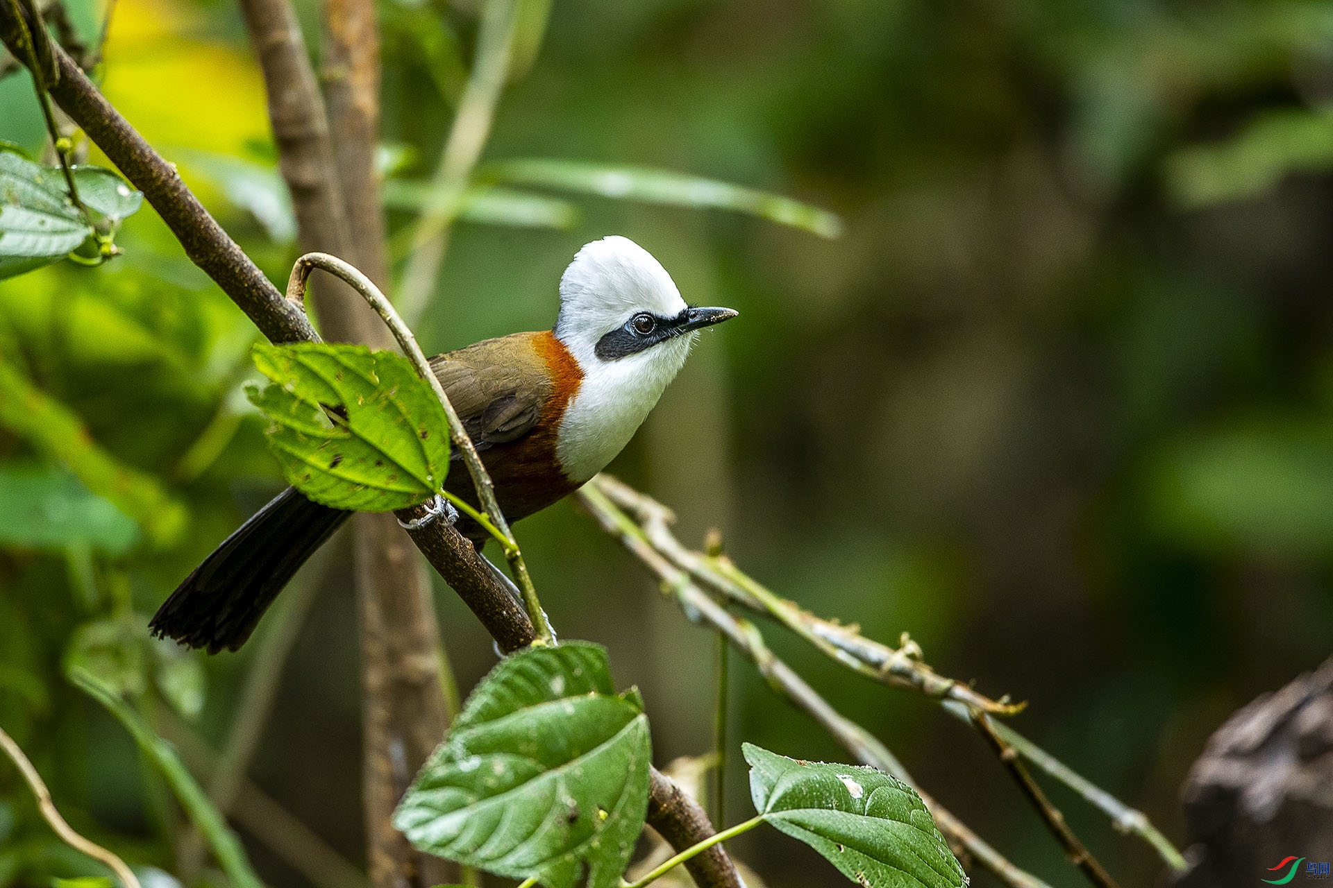 CD0I3215 ����.jpg