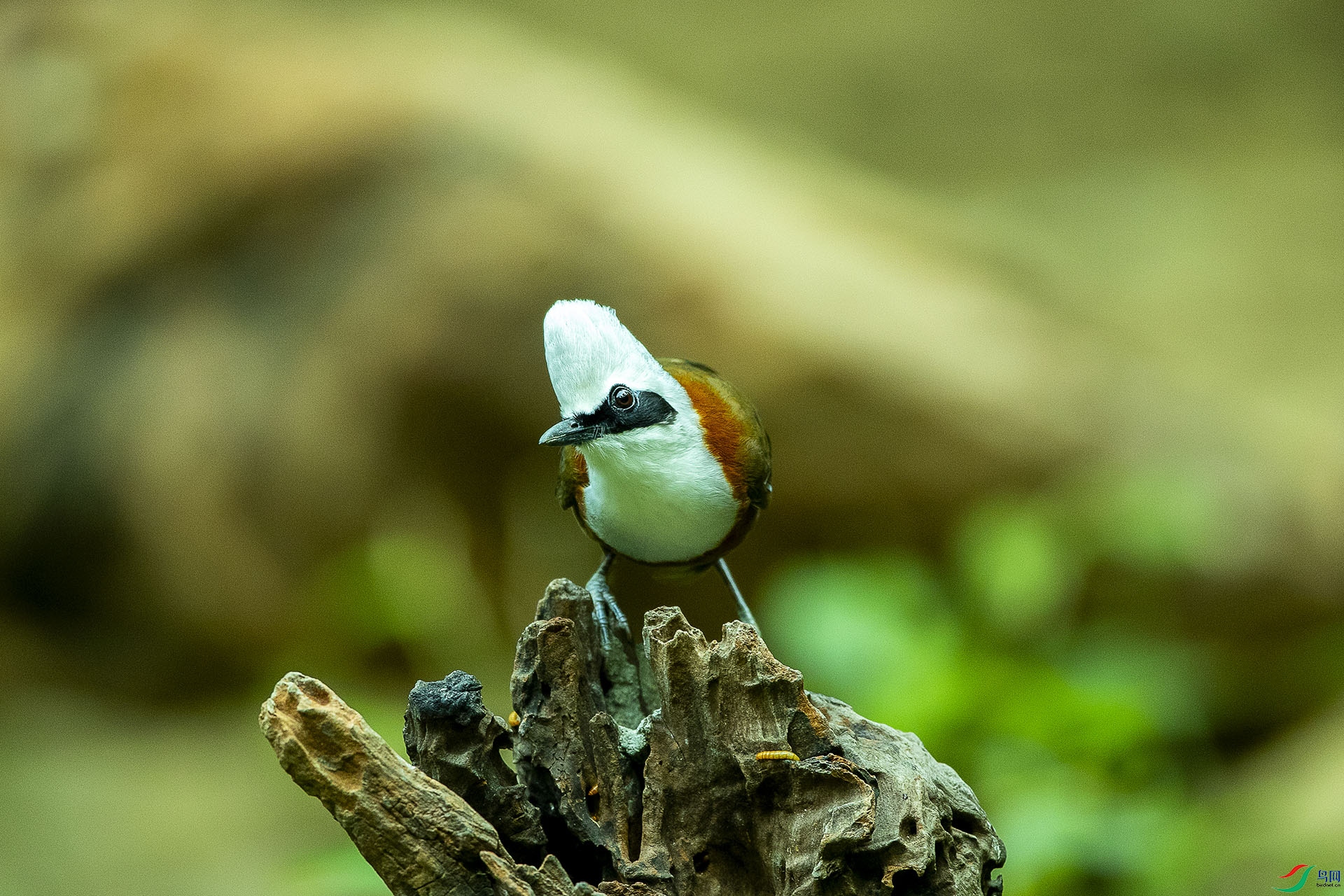 CD0I3670 ����.jpg