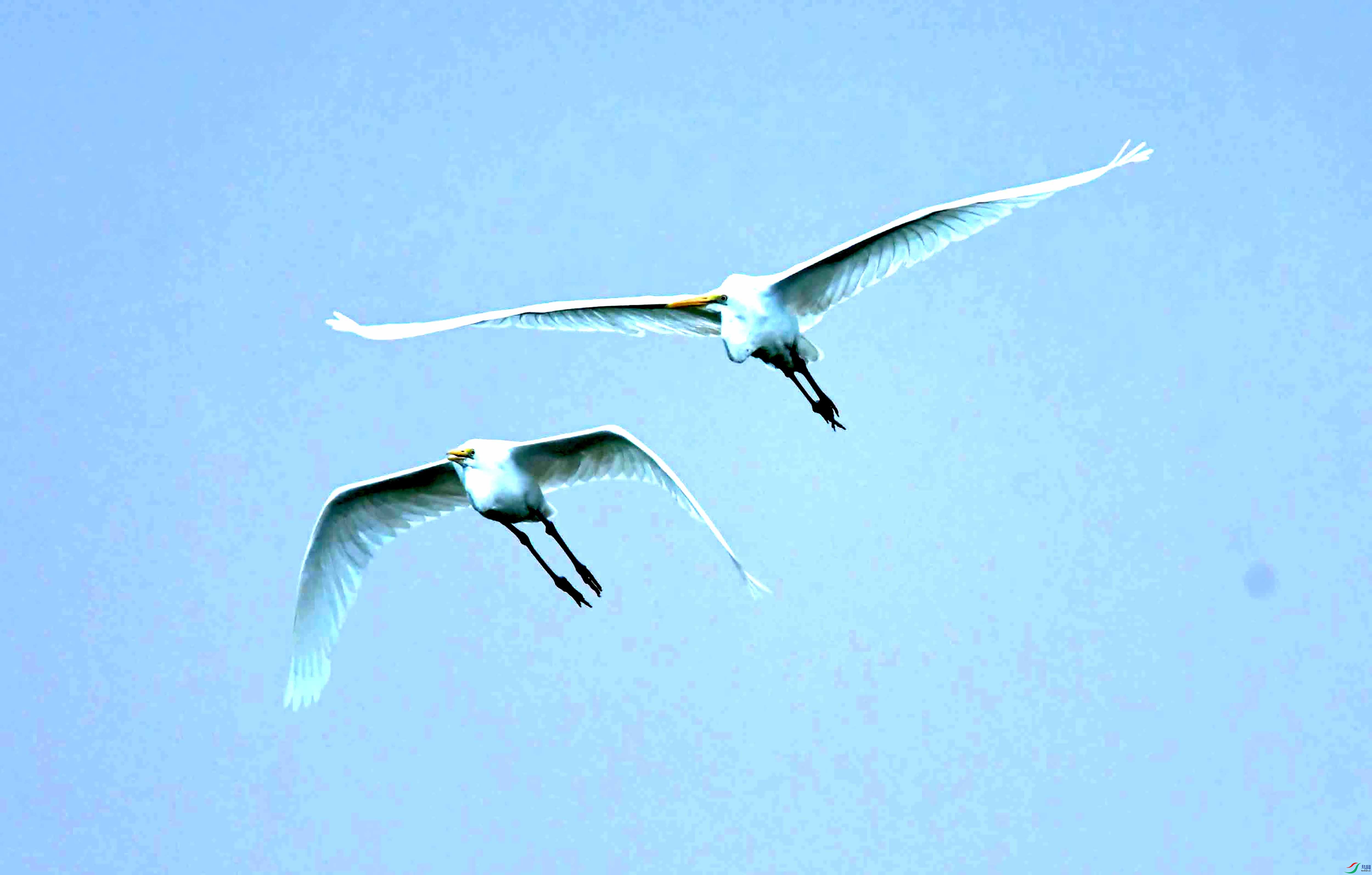 DSC_1503.JPG