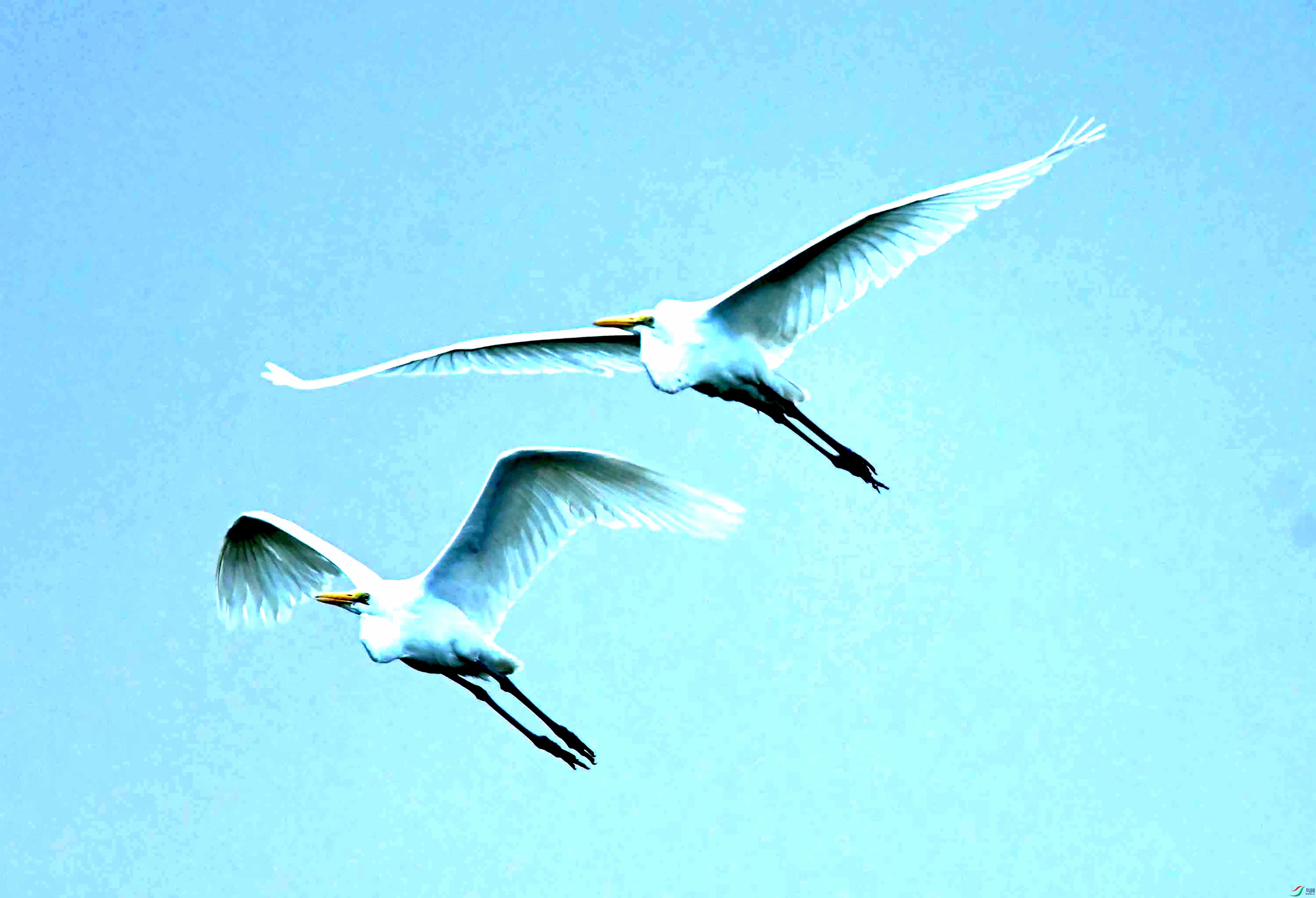 DSC_1507.JPG