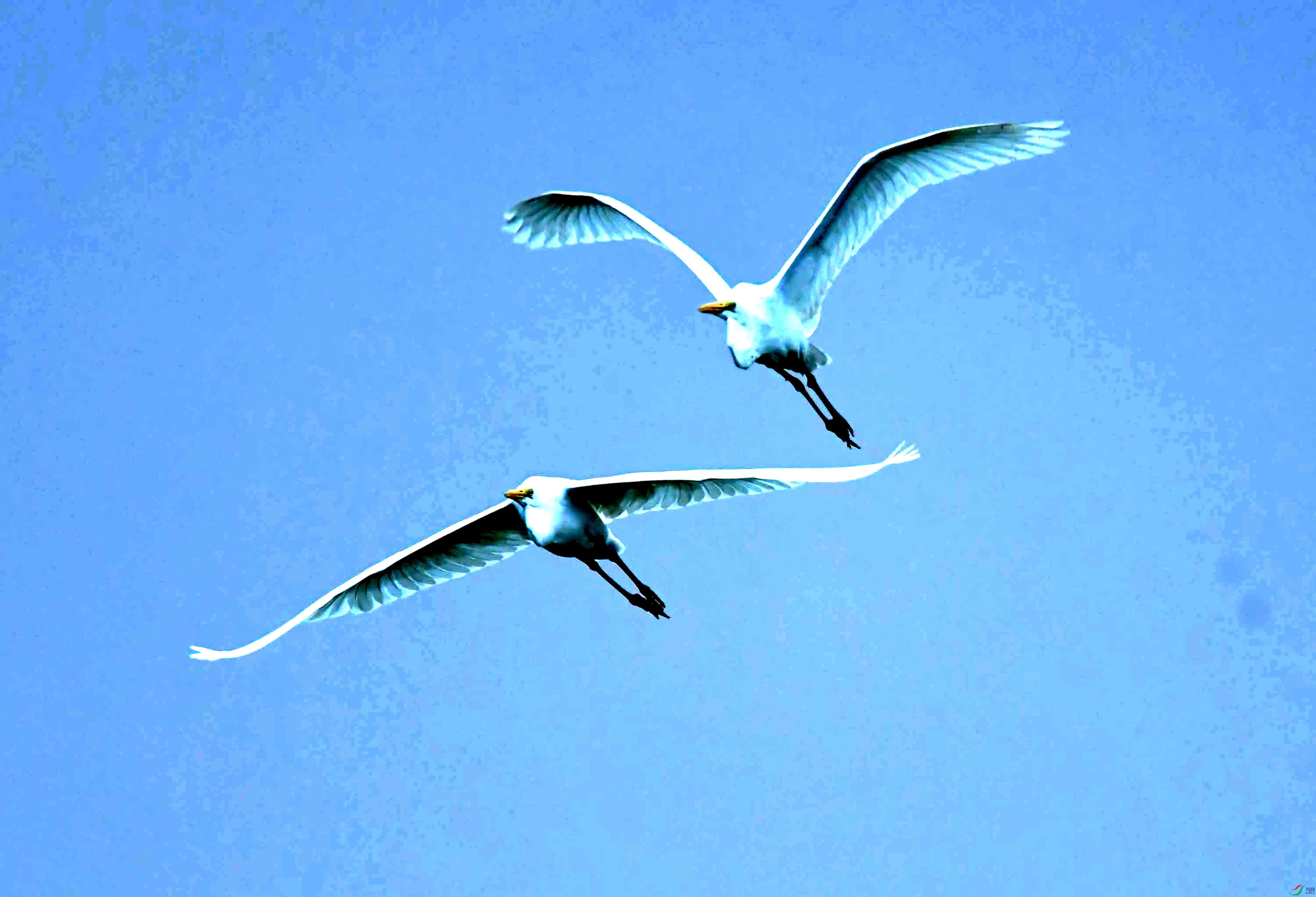 DSC_1505.JPG