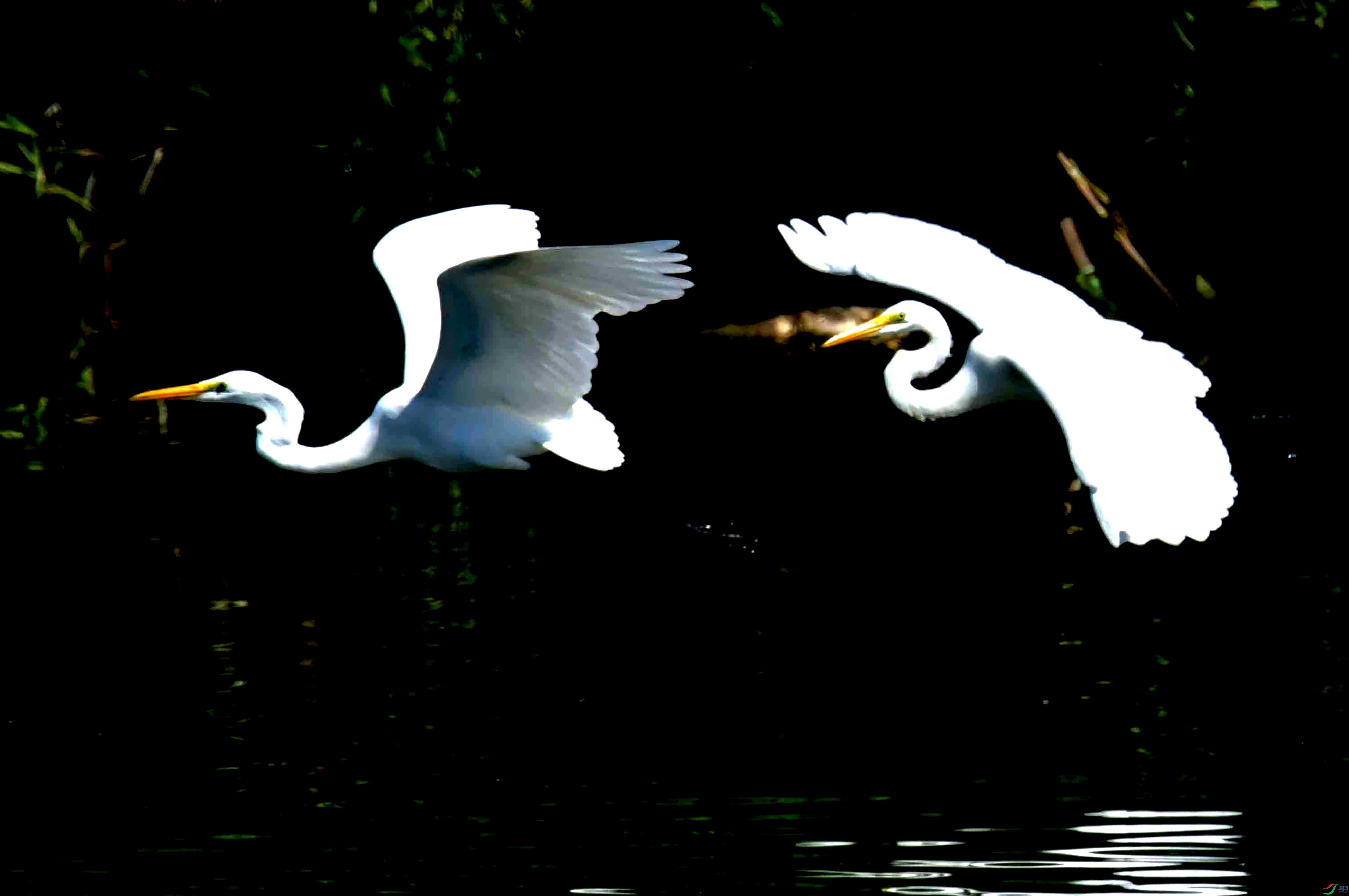 DSC_1536.JPG