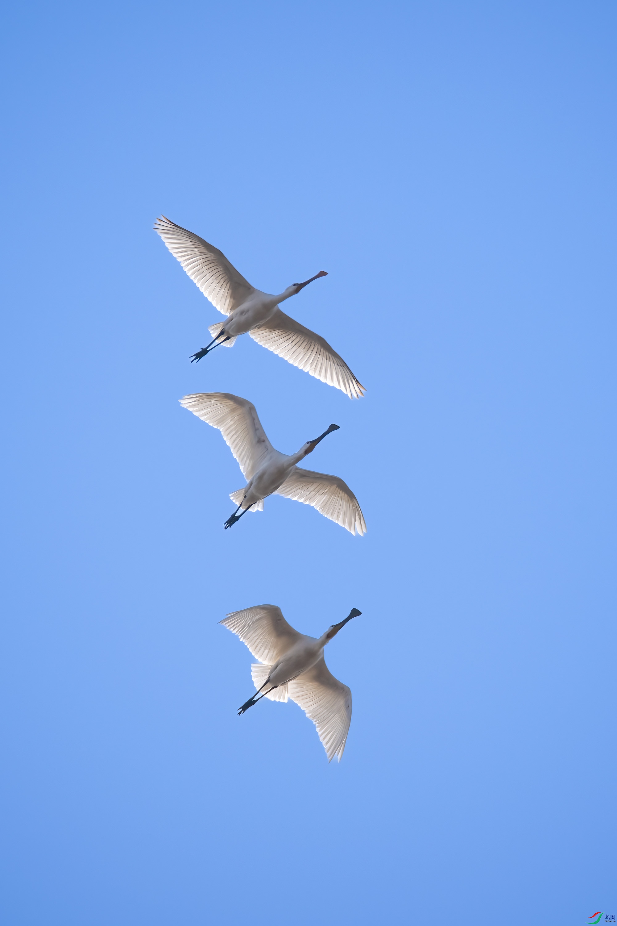 DSC_8187.jpg