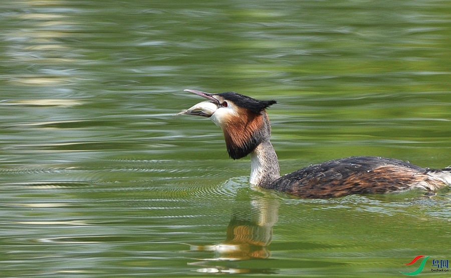 DSC_9669.JPG