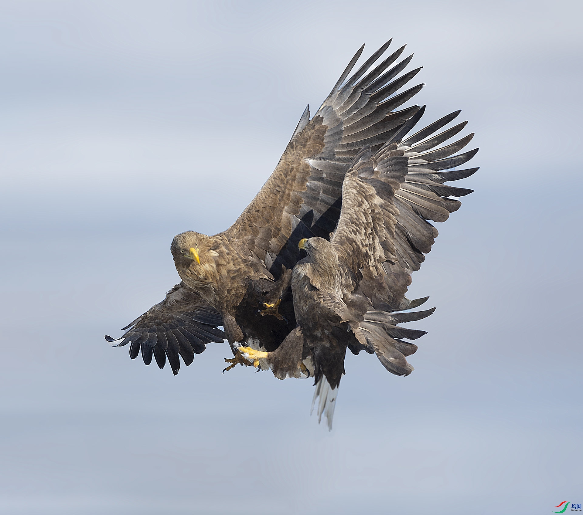 019A1384 ����.jpg