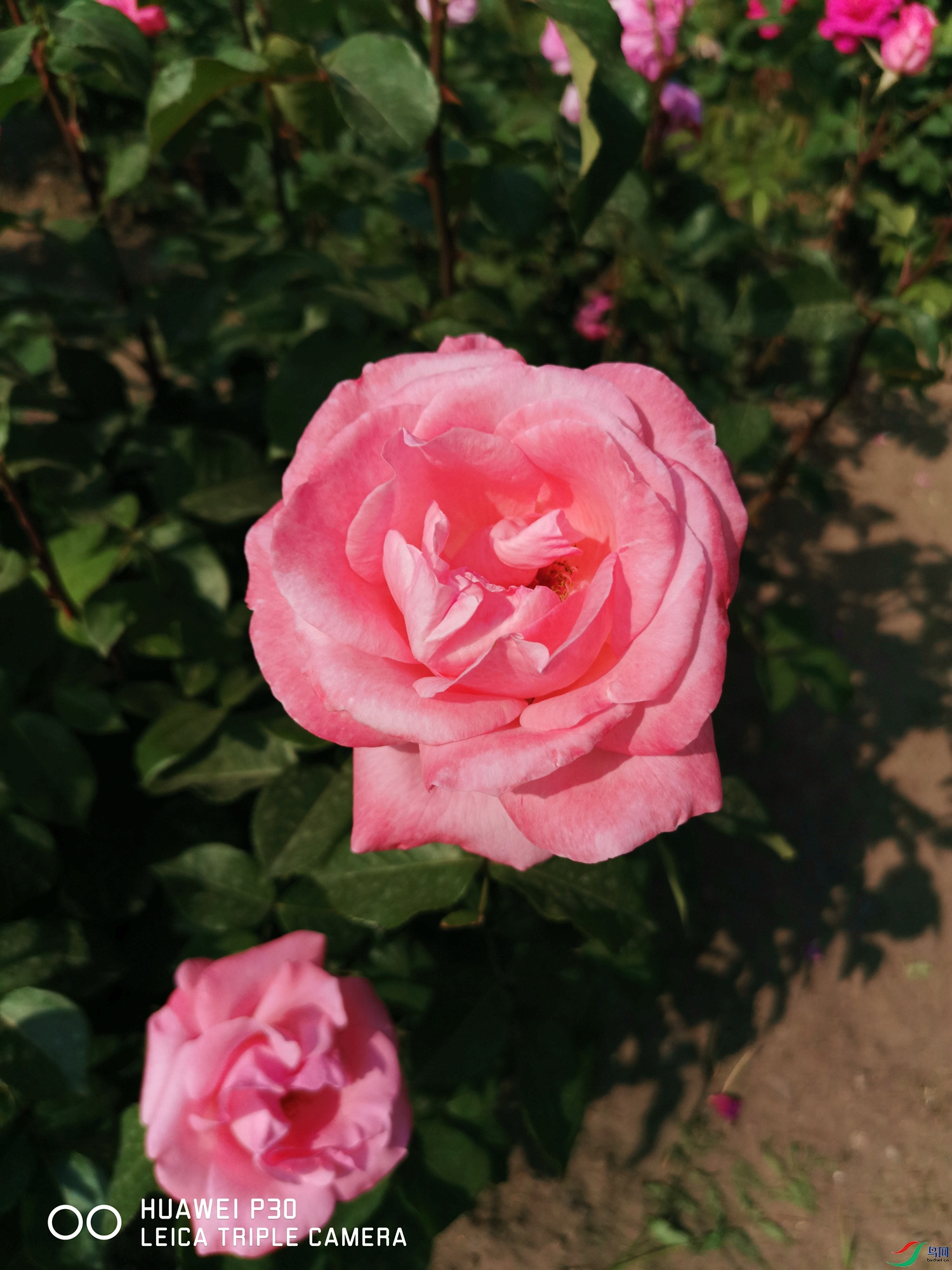 ΢��ͼƬ_20210512173855_����.jpg