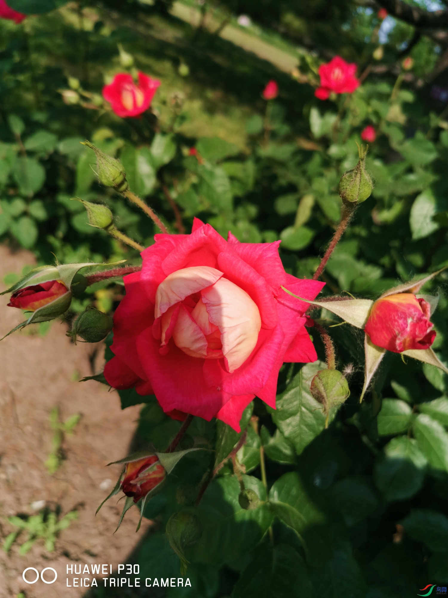 ΢��ͼƬ_20210512173901_����.jpg