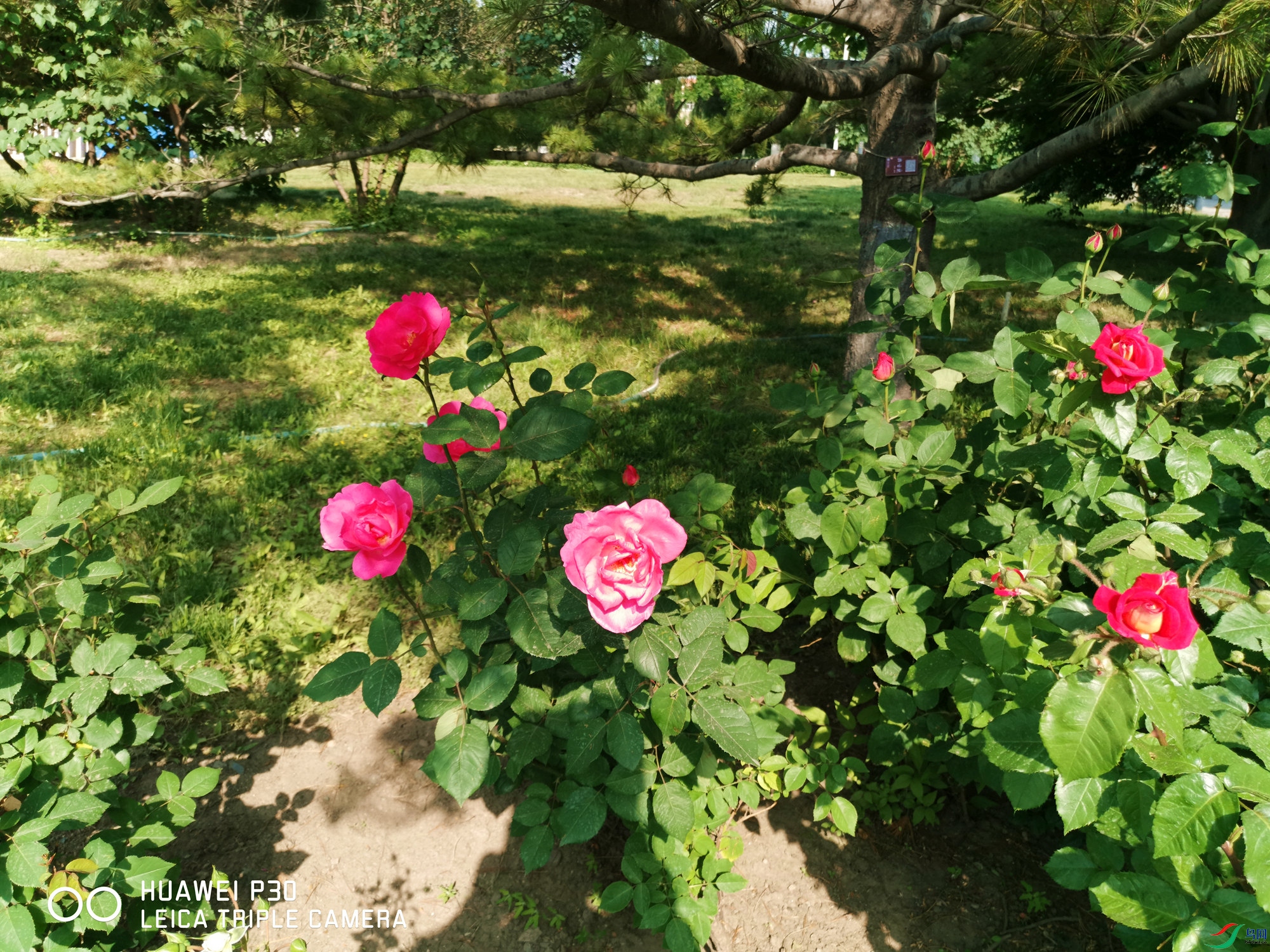΢��ͼƬ_20210512173914_����.jpg