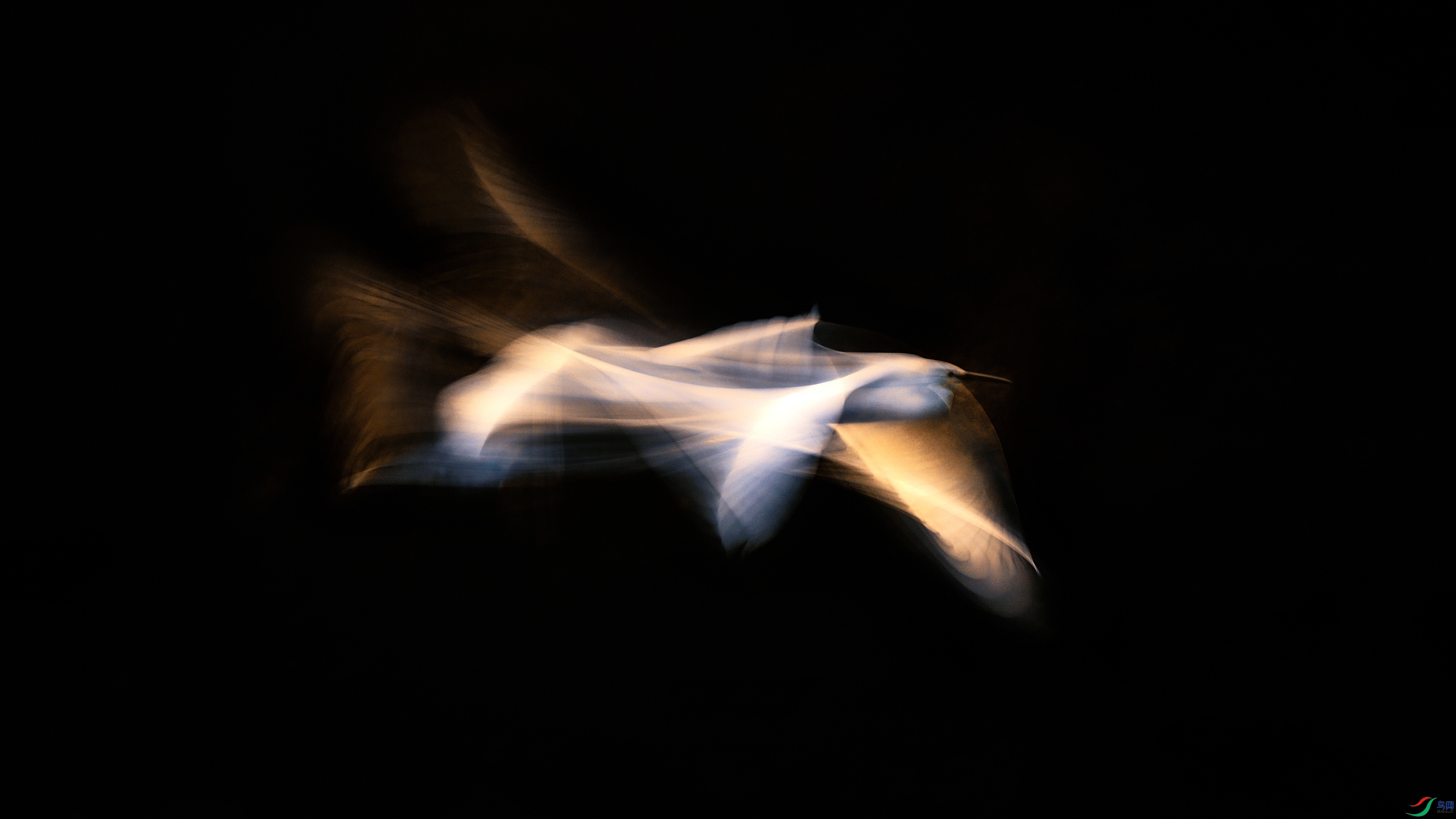 565A3758A.jpg