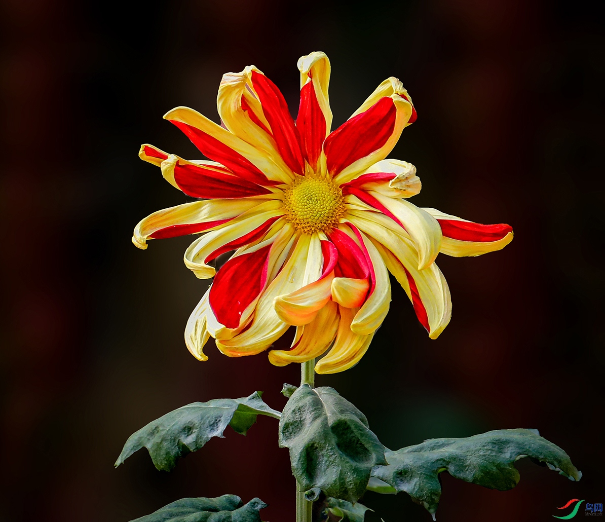 00000583A0279 ���˧��1000k.jpg